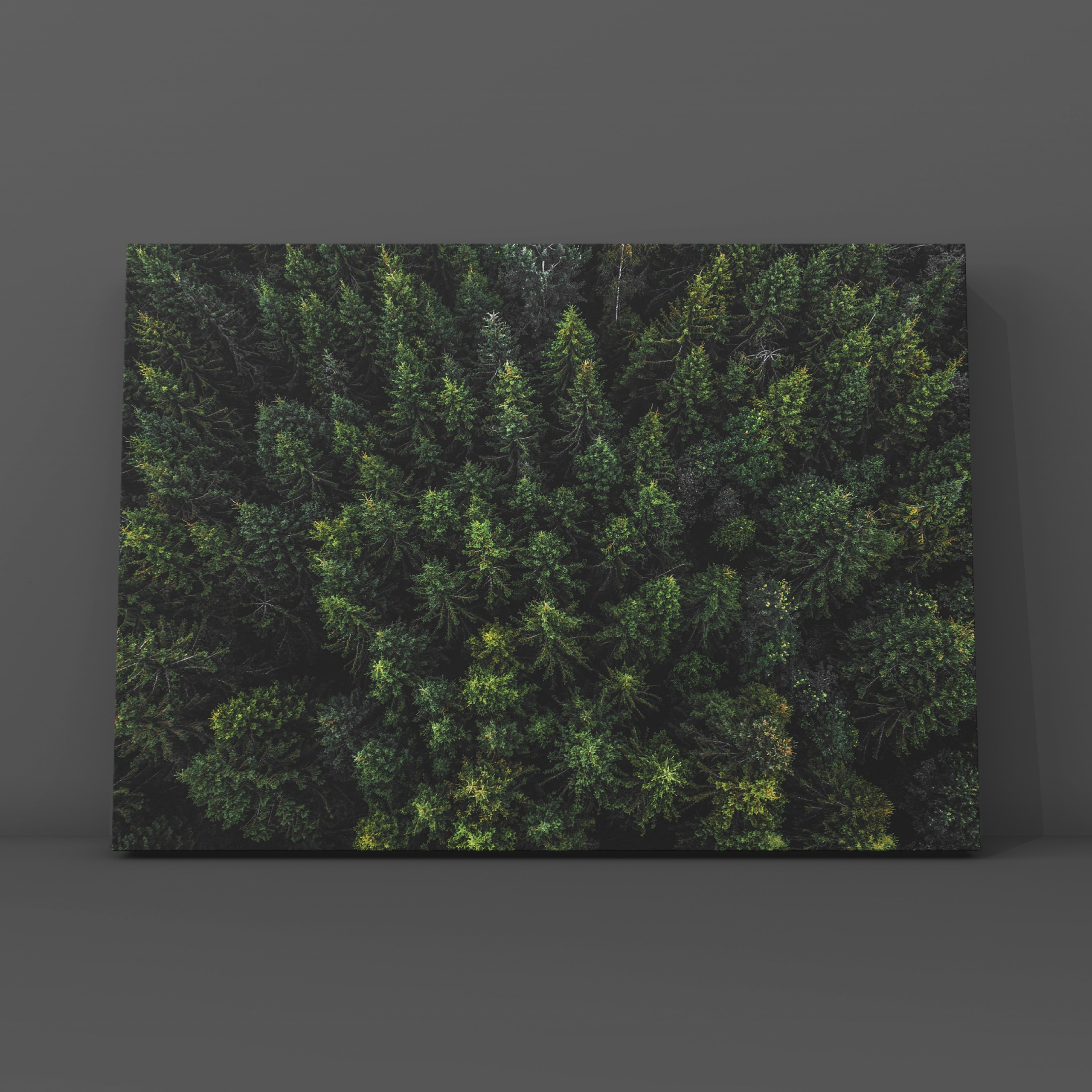 Природа и пейзаж. Фотограф в Москве Сергей Коршунов