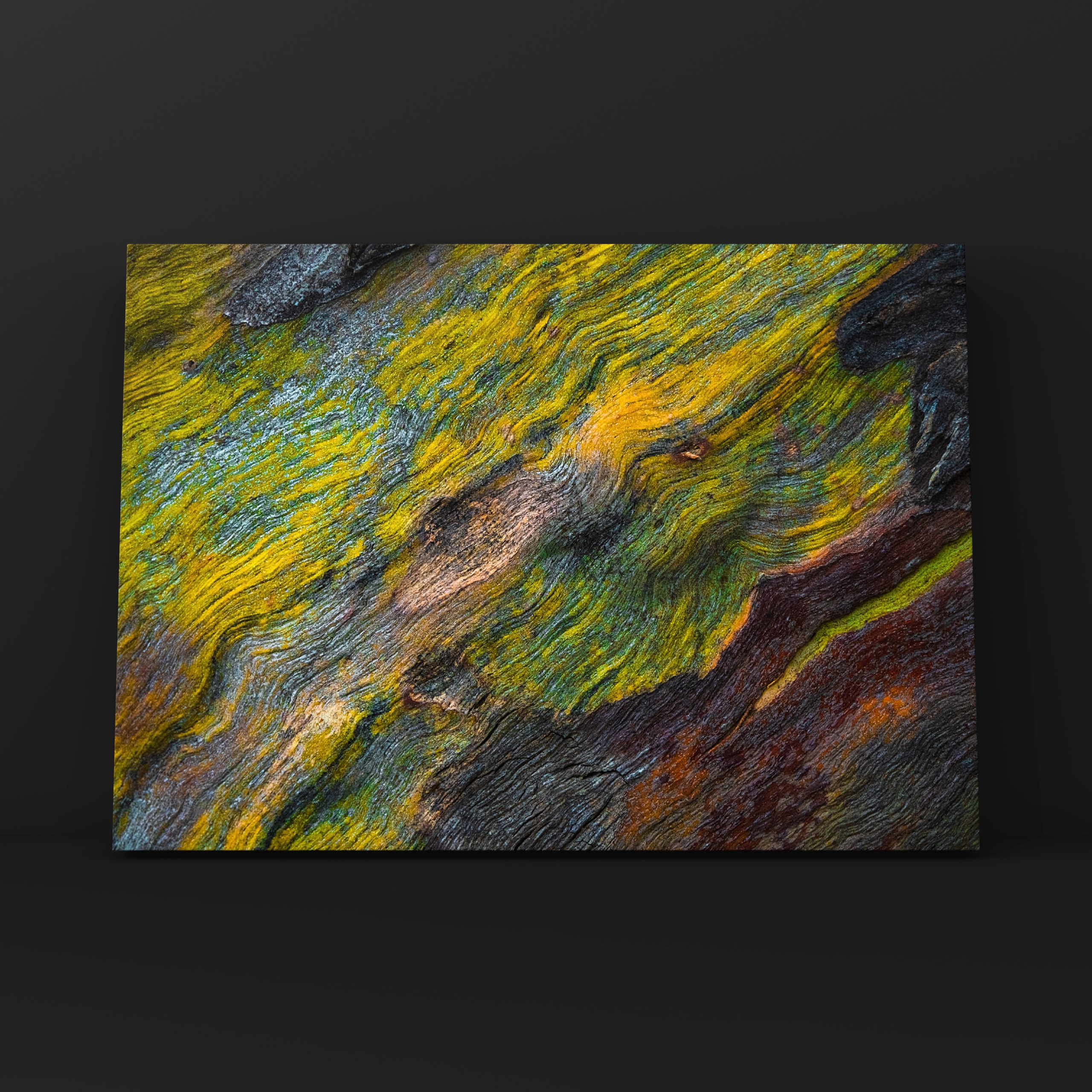 Абстракция. Фотограф в Москве Сергей Коршунов