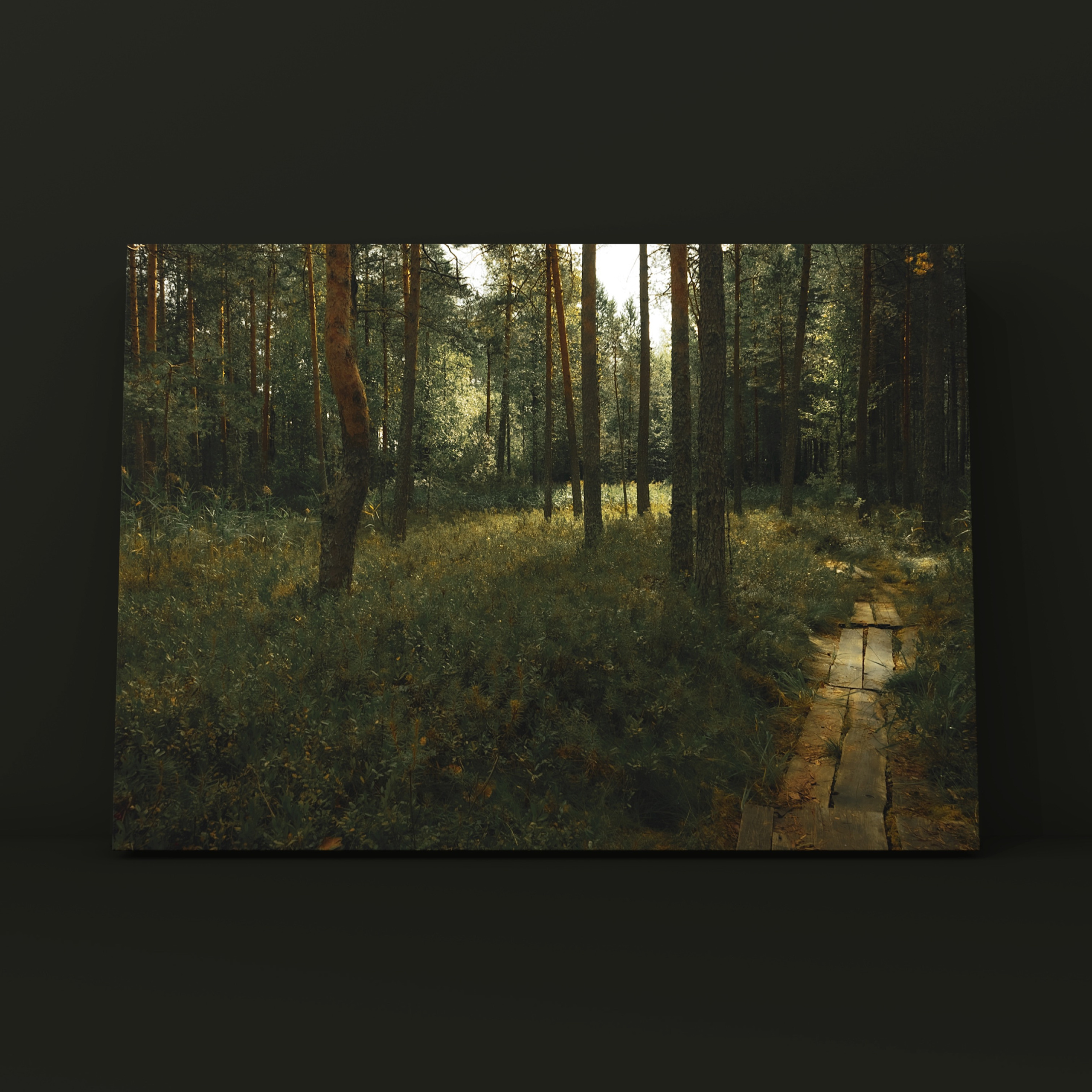 Тропа у озера Карелия 1. Фотограф в Москве Сергей Коршунов