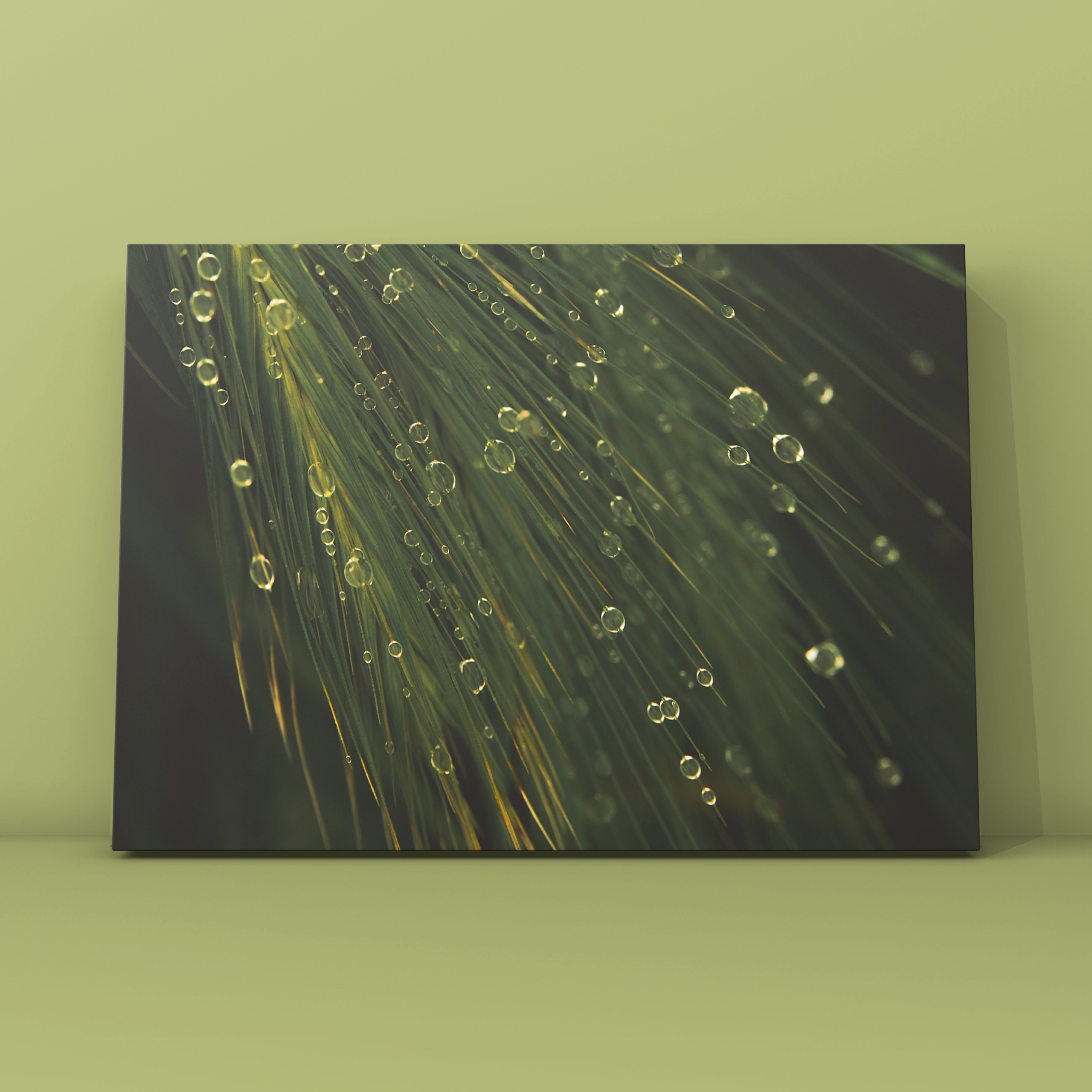 Природа и пейзаж. Фотограф в Москве Сергей Коршунов