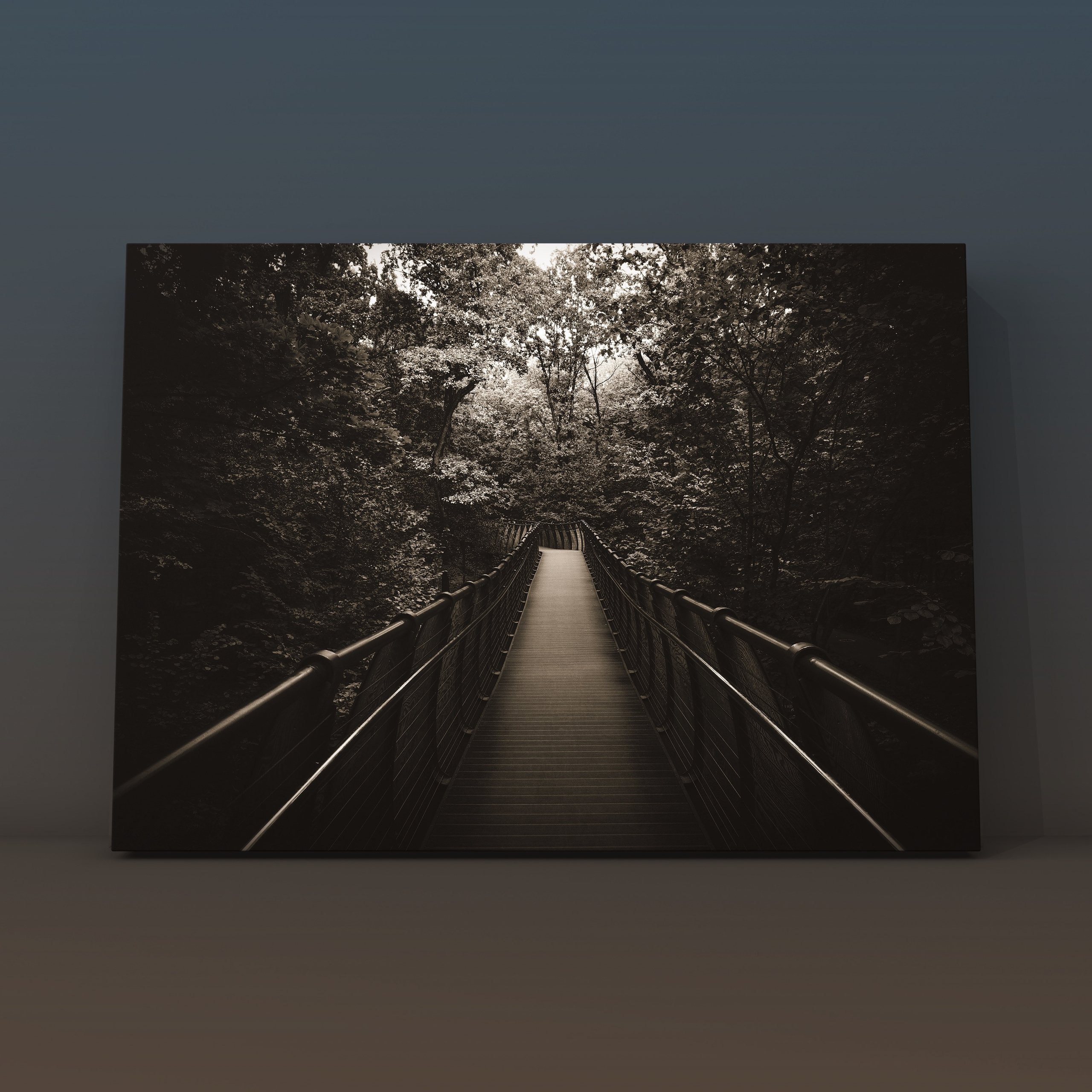 Экотропа ВДНХ. Фотограф в Москве Сергей Коршунов