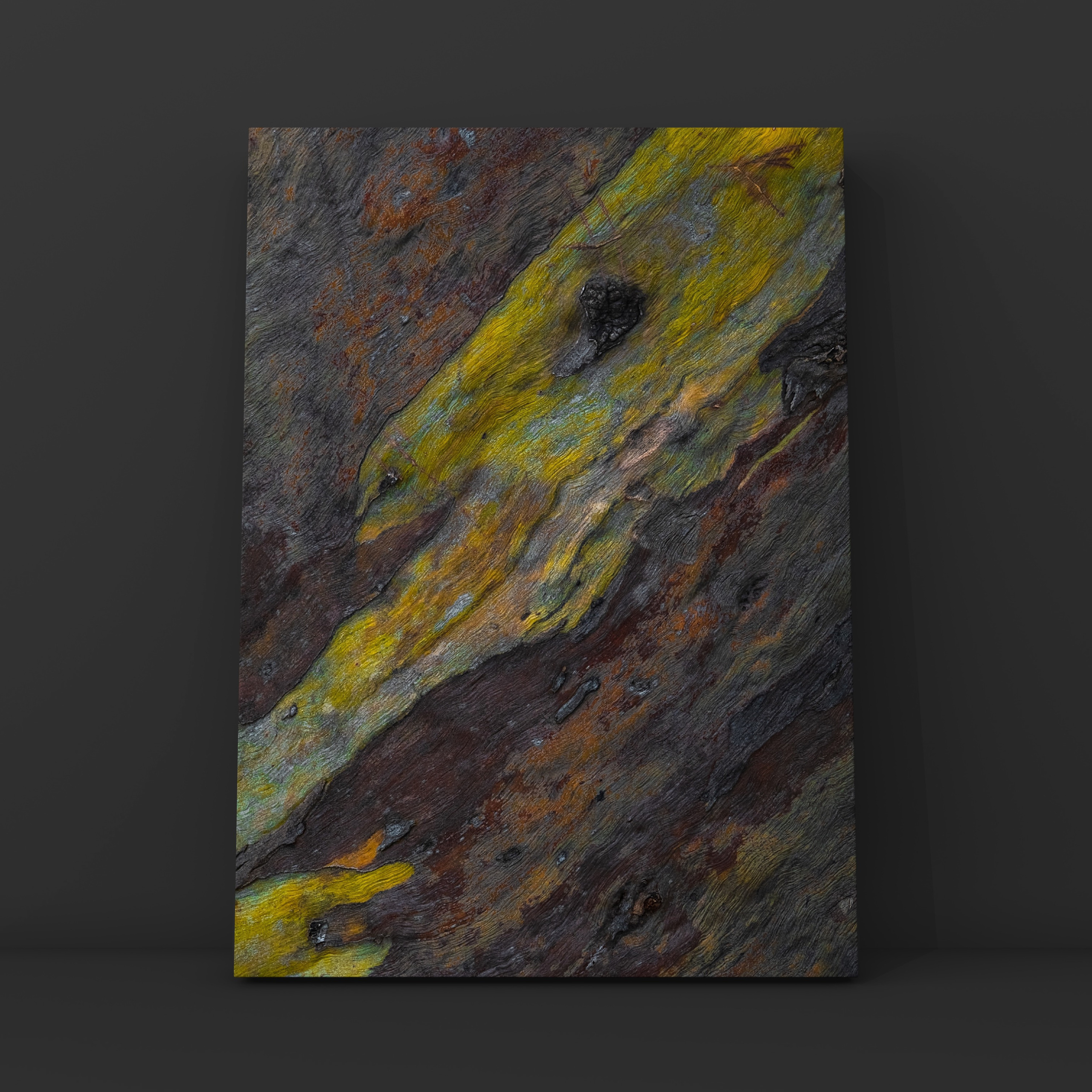 Ствол эвкалипта 4. Фотограф в Москве Сергей Коршунов