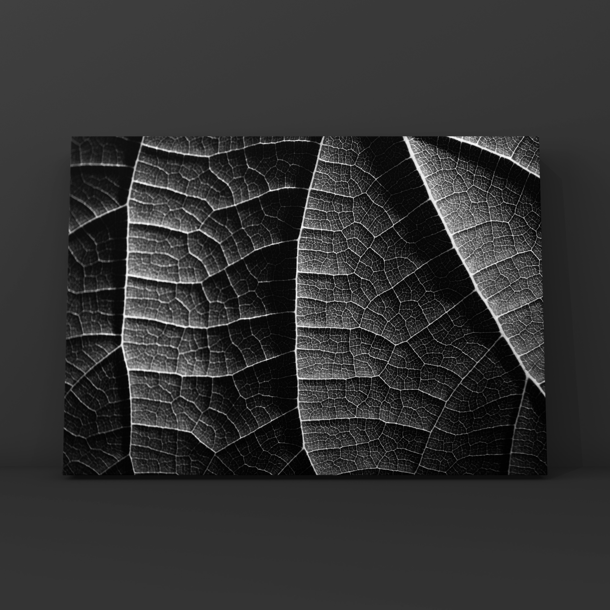 Абстракция. Фотограф в Москве Сергей Коршунов