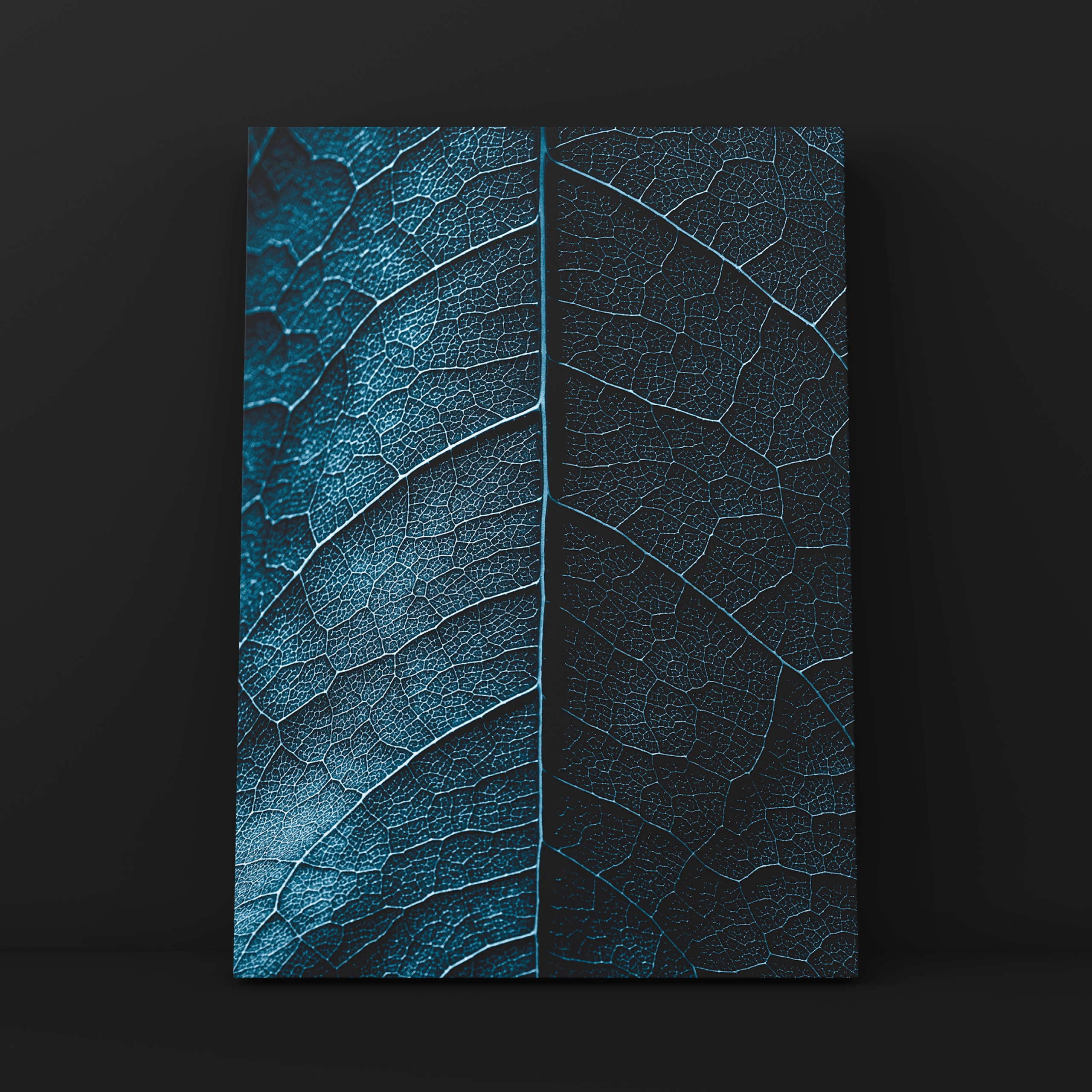 Абстракция. Фотограф в Москве Сергей Коршунов