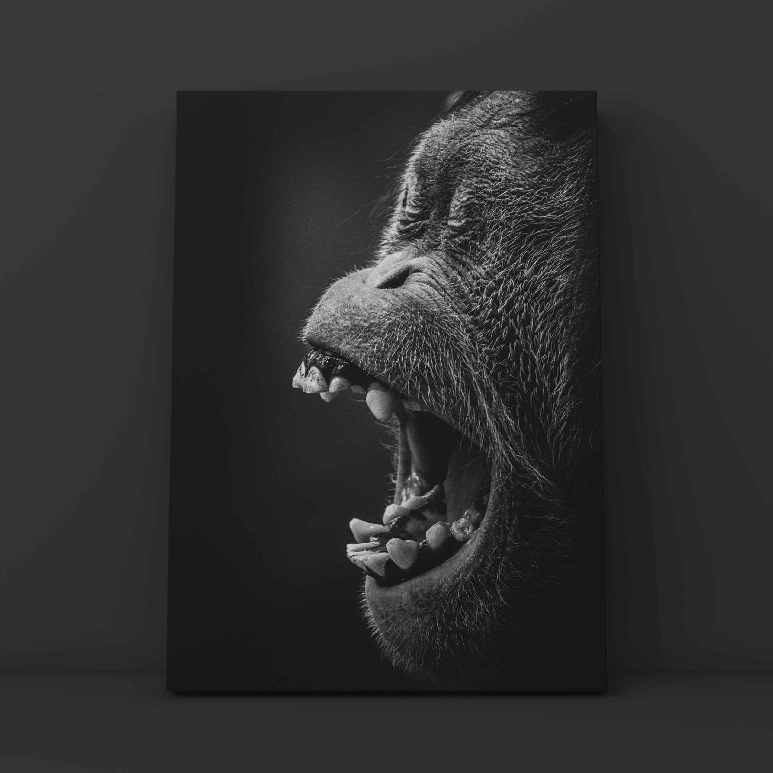 Смех шимпанзе. Фотограф в Москве Сергей Коршунов