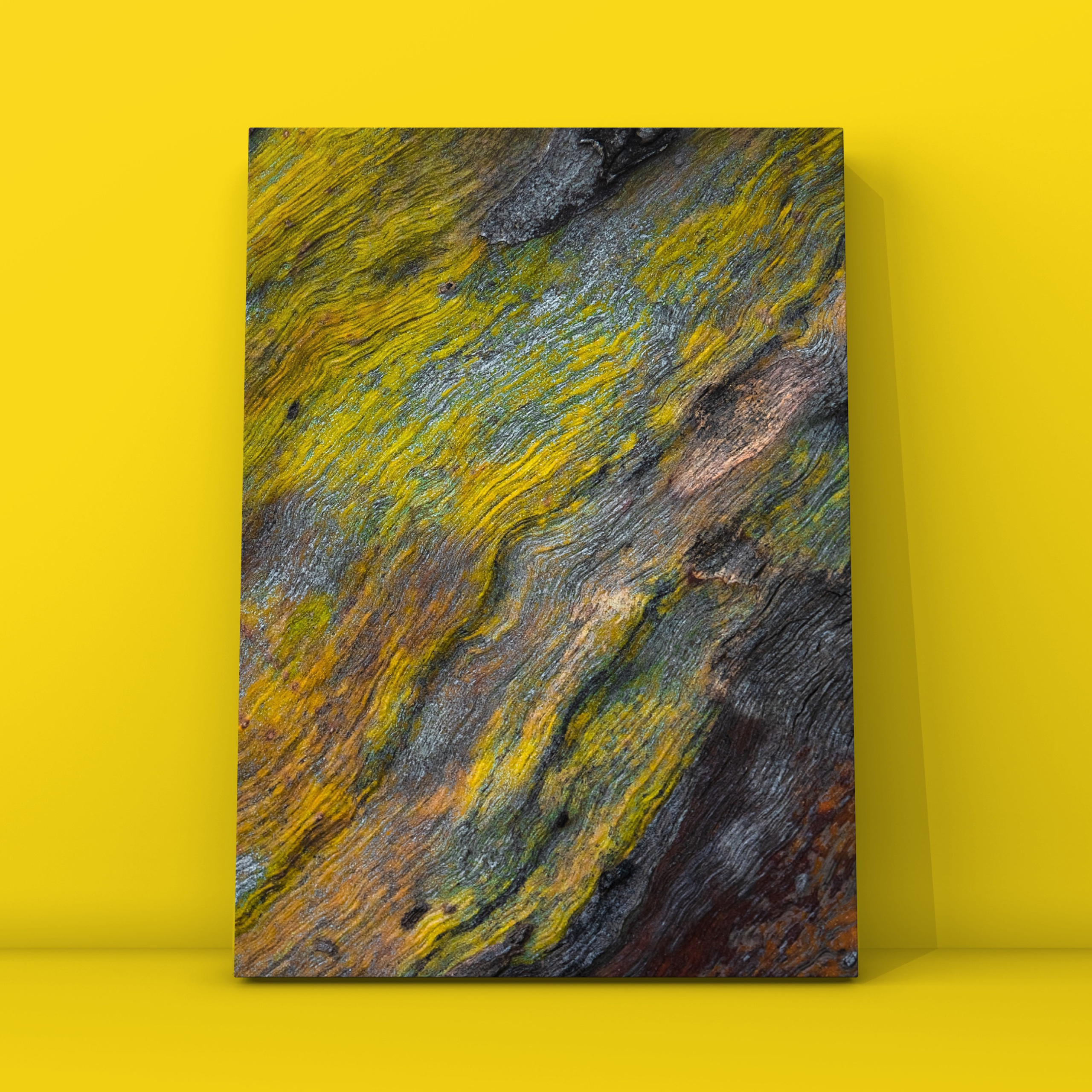 Абстракция. Фотограф в Москве Сергей Коршунов