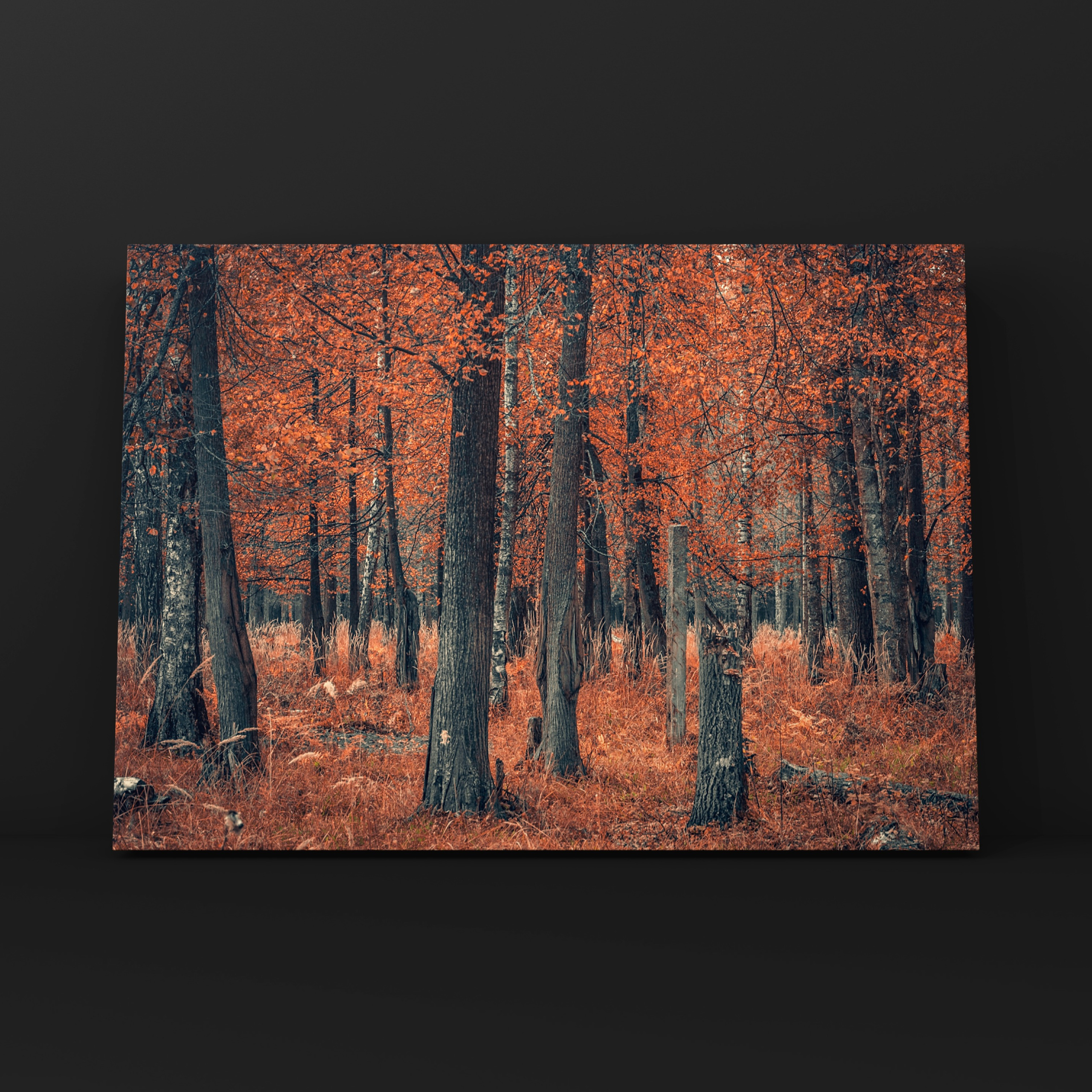 Природа и пейзаж. Фотограф в Москве Сергей Коршунов