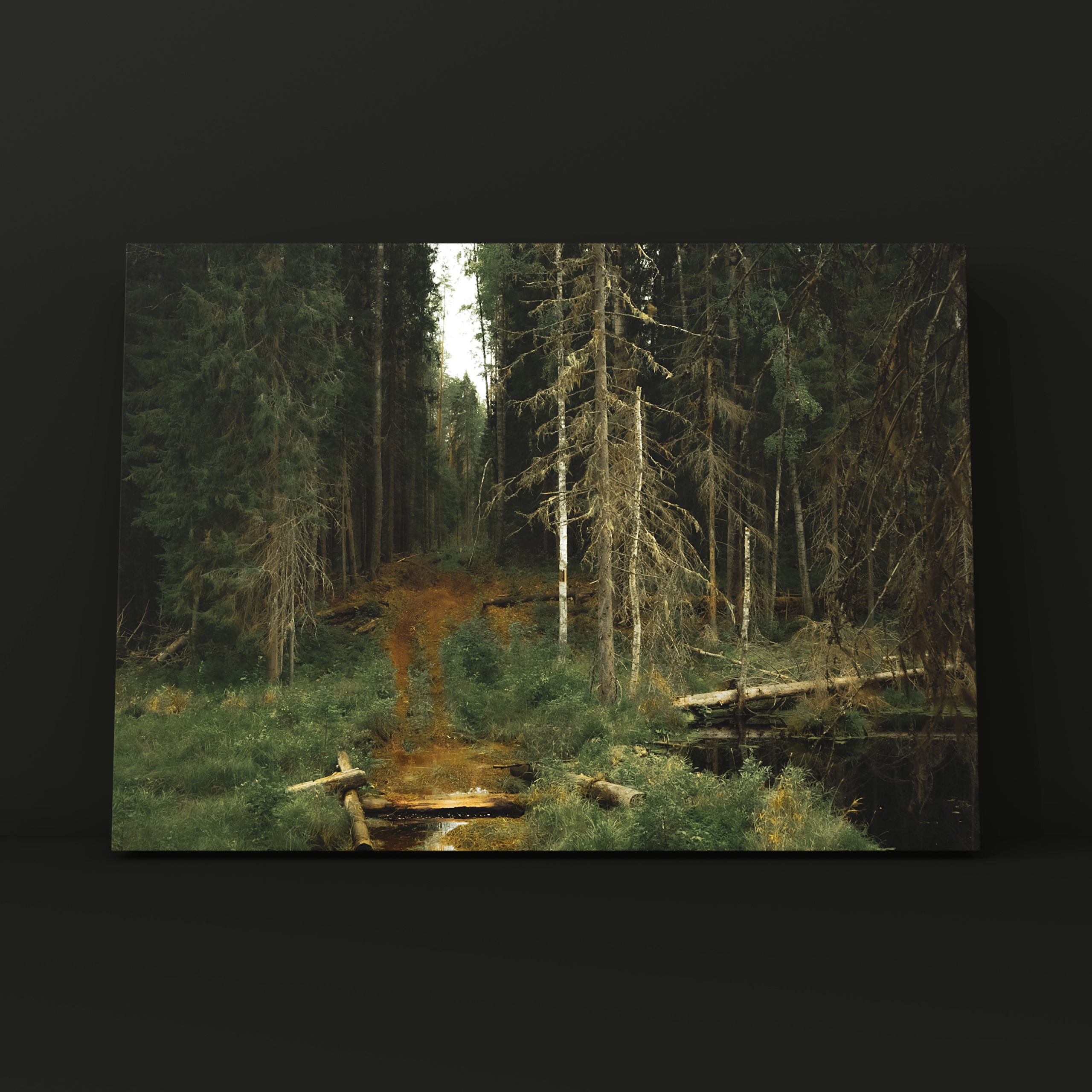 Природа и пейзаж. Фотограф в Москве Сергей Коршунов