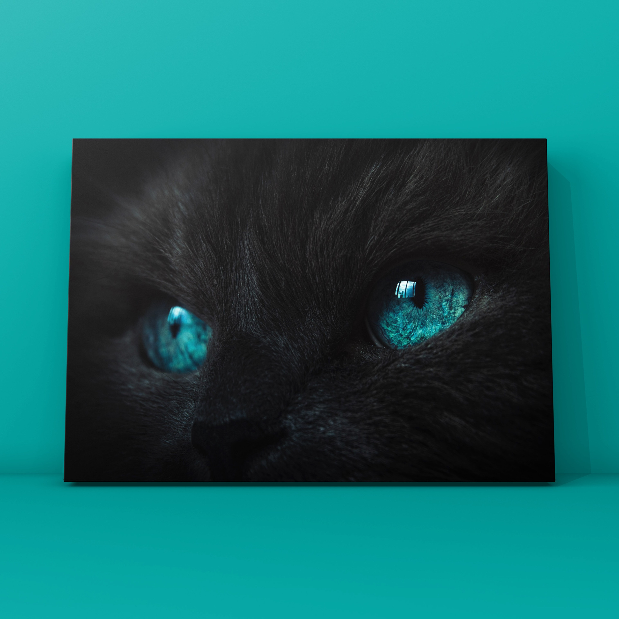 Глаза Тоши. Фотограф в Москве Сергей Коршунов