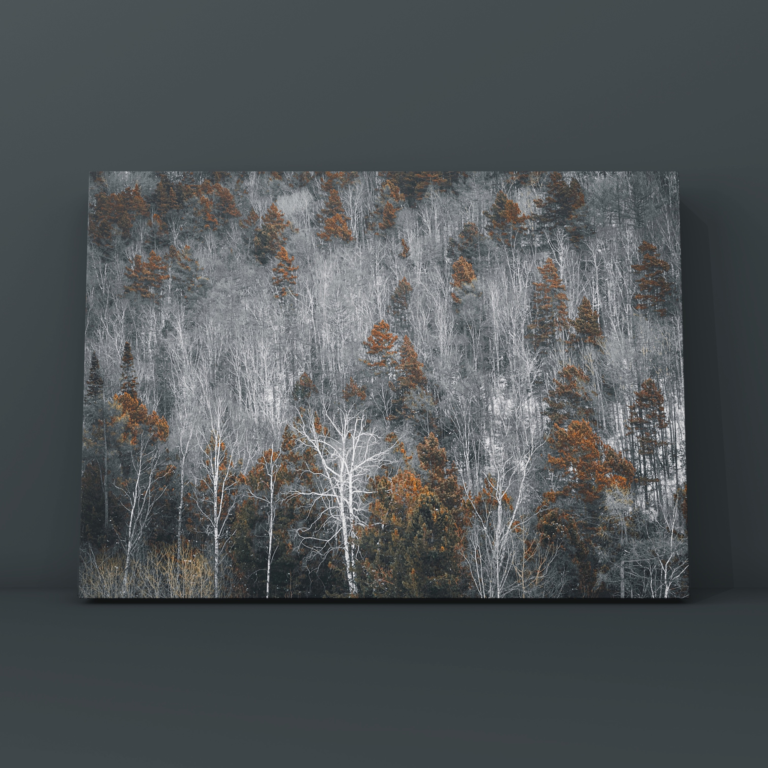 Деревья в Листвянке Байкал. Фотограф в Москве Сергей Коршунов