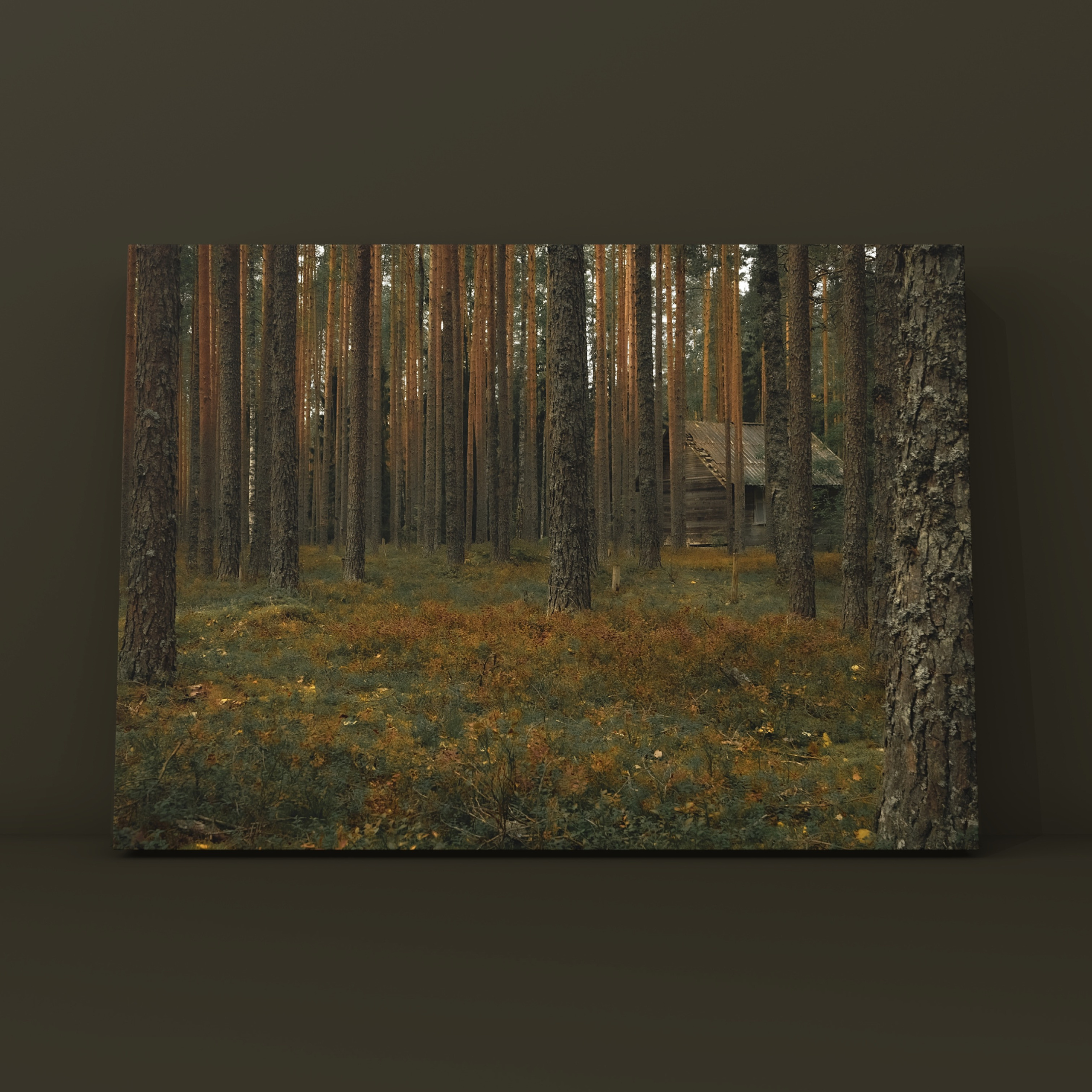 Природа и пейзаж. Фотограф в Москве Сергей Коршунов