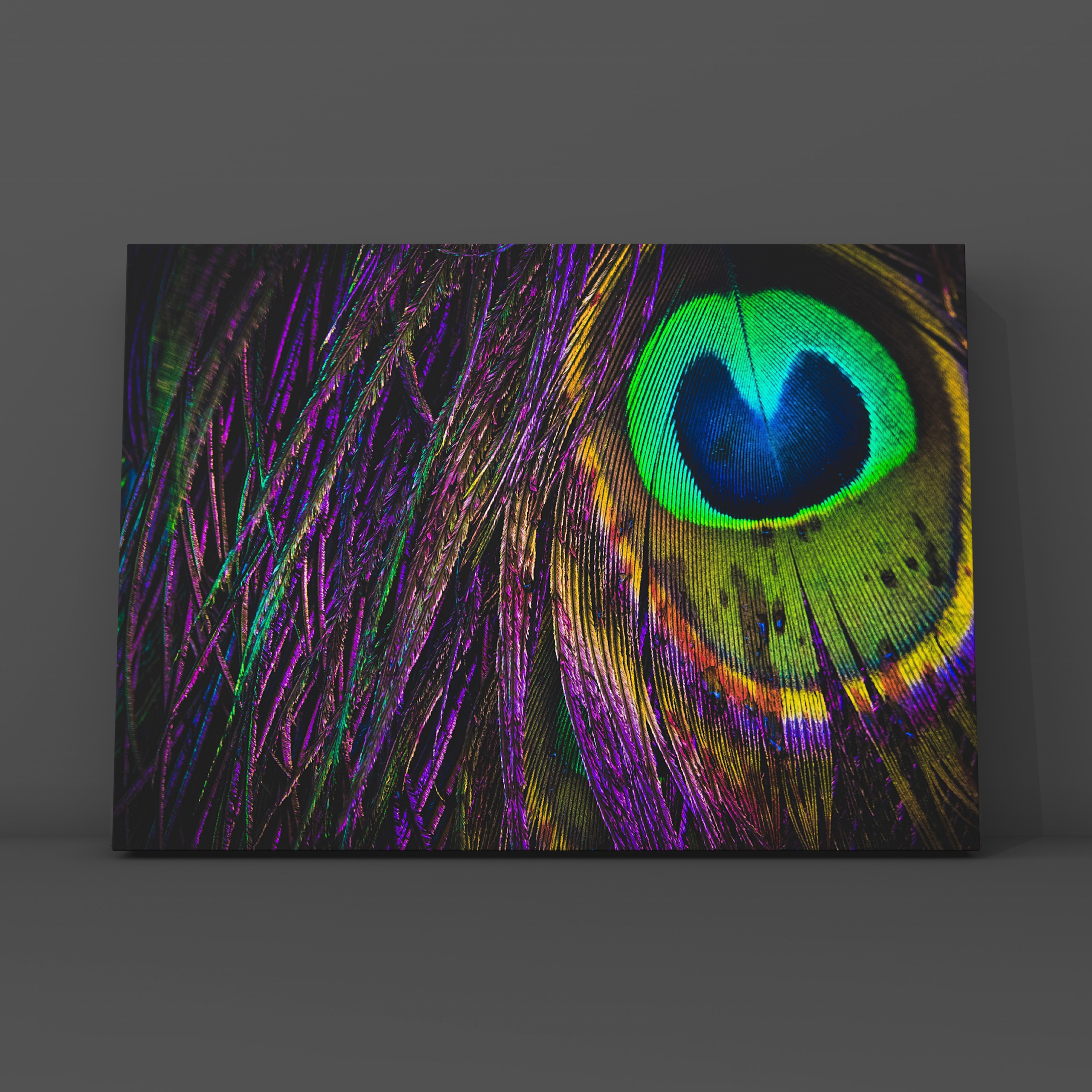 Перо павлина. Фотограф в Москве Сергей Коршунов