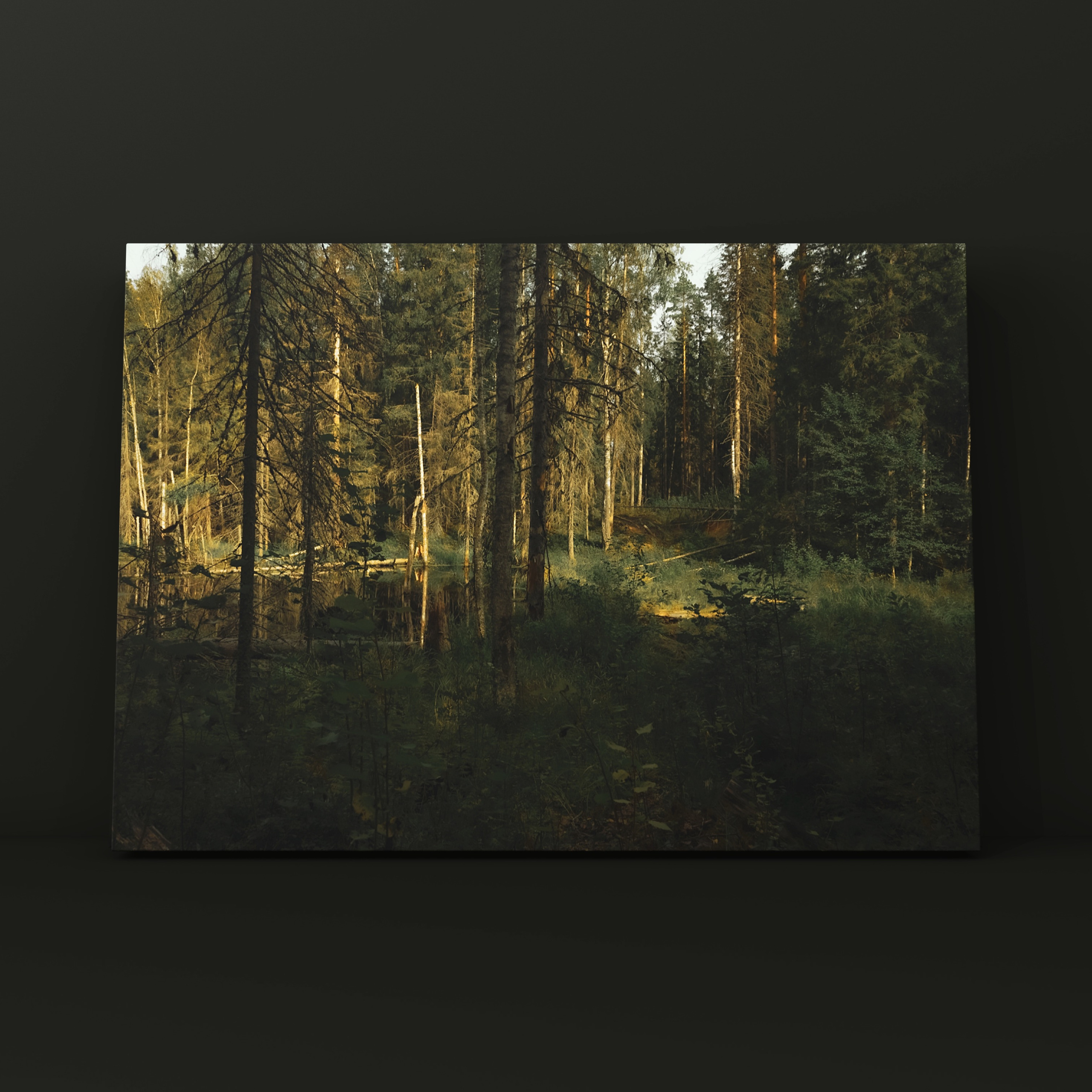 Природа и пейзаж. Фотограф в Москве Сергей Коршунов