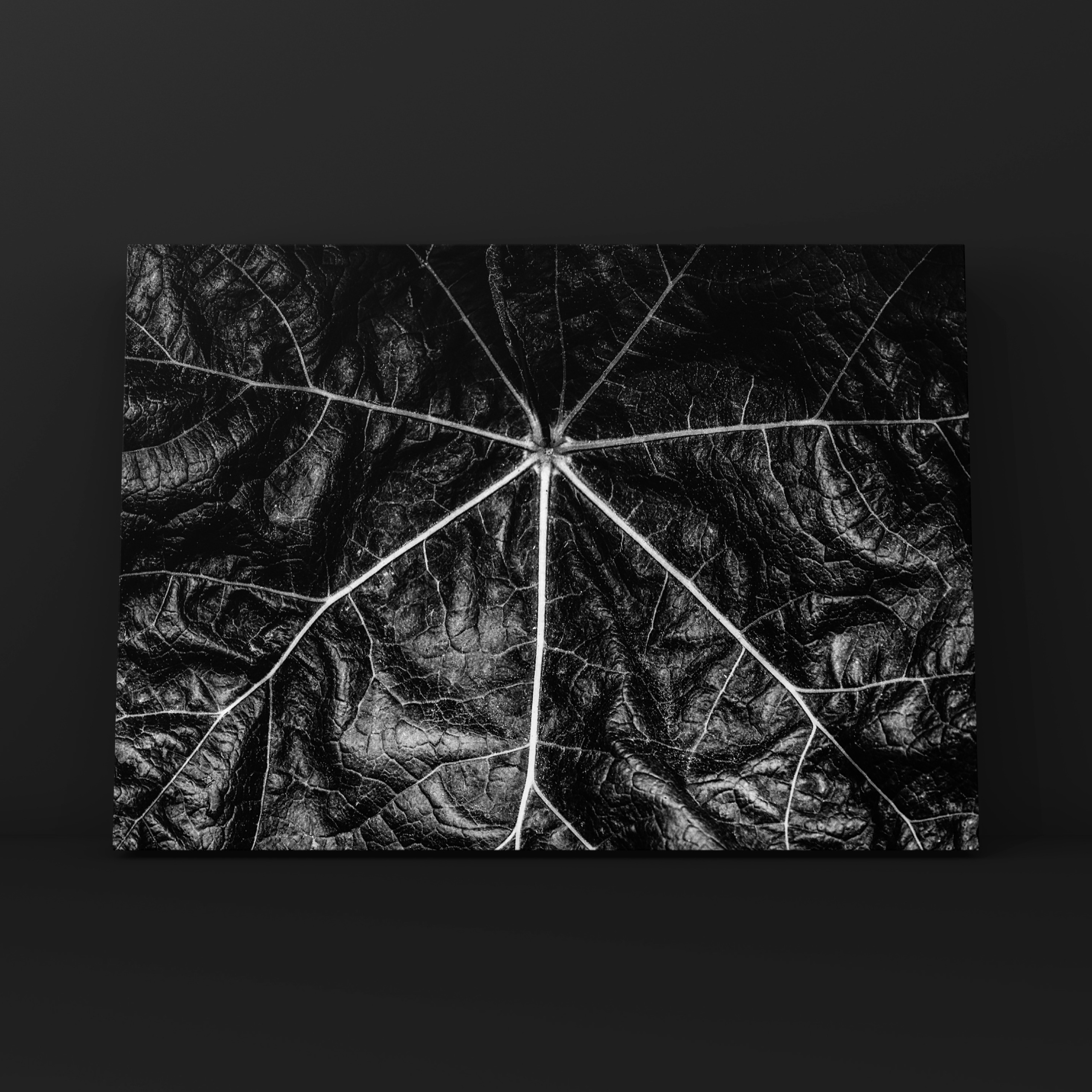 Абстракция. Фотограф в Москве Сергей Коршунов