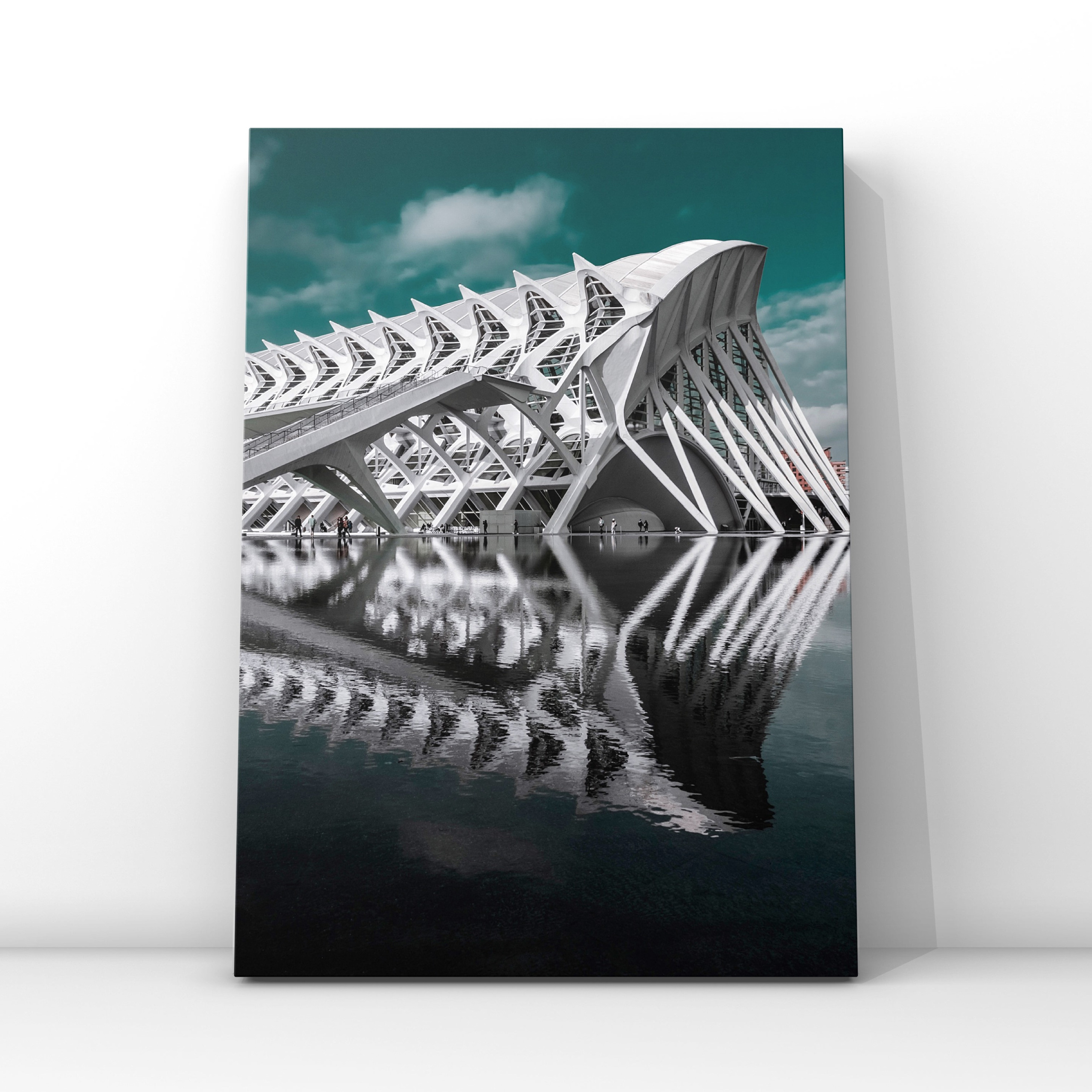 Валенсия дворец науки и искусств. Фотограф в Москве Сергей Коршунов