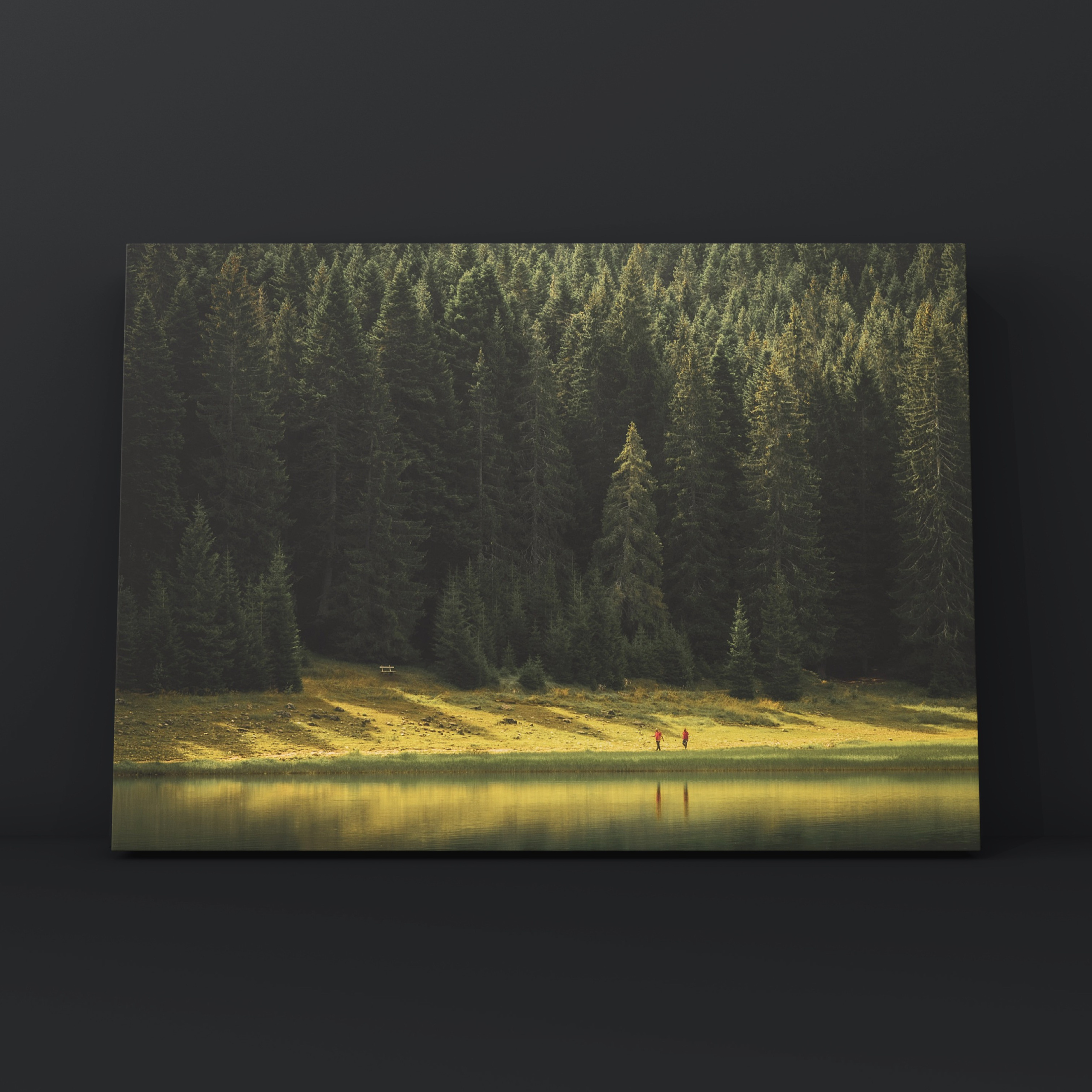 Природа и пейзаж. Фотограф в Москве Сергей Коршунов