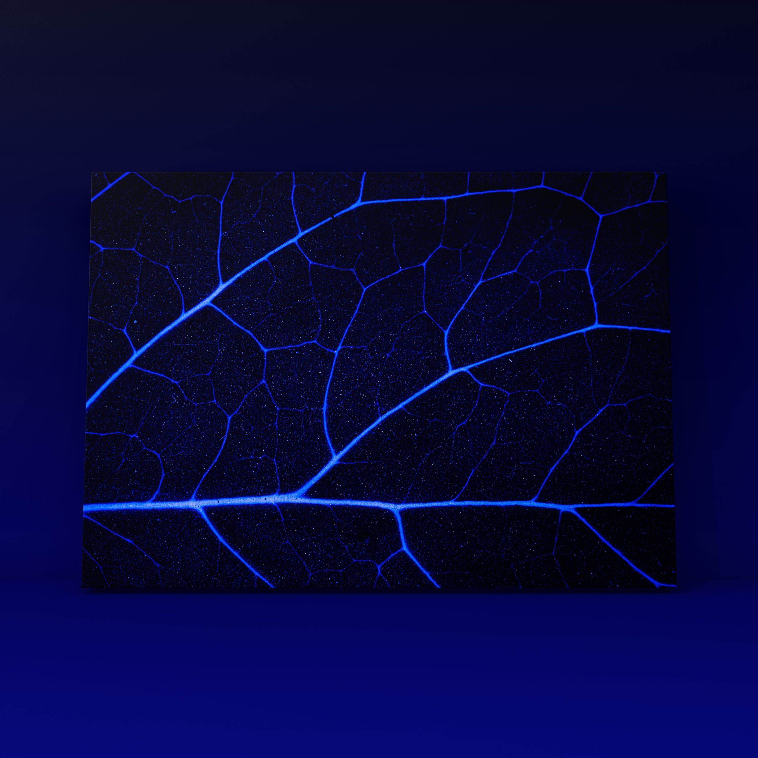 Лист 11. Фотограф в Москве Сергей Коршунов