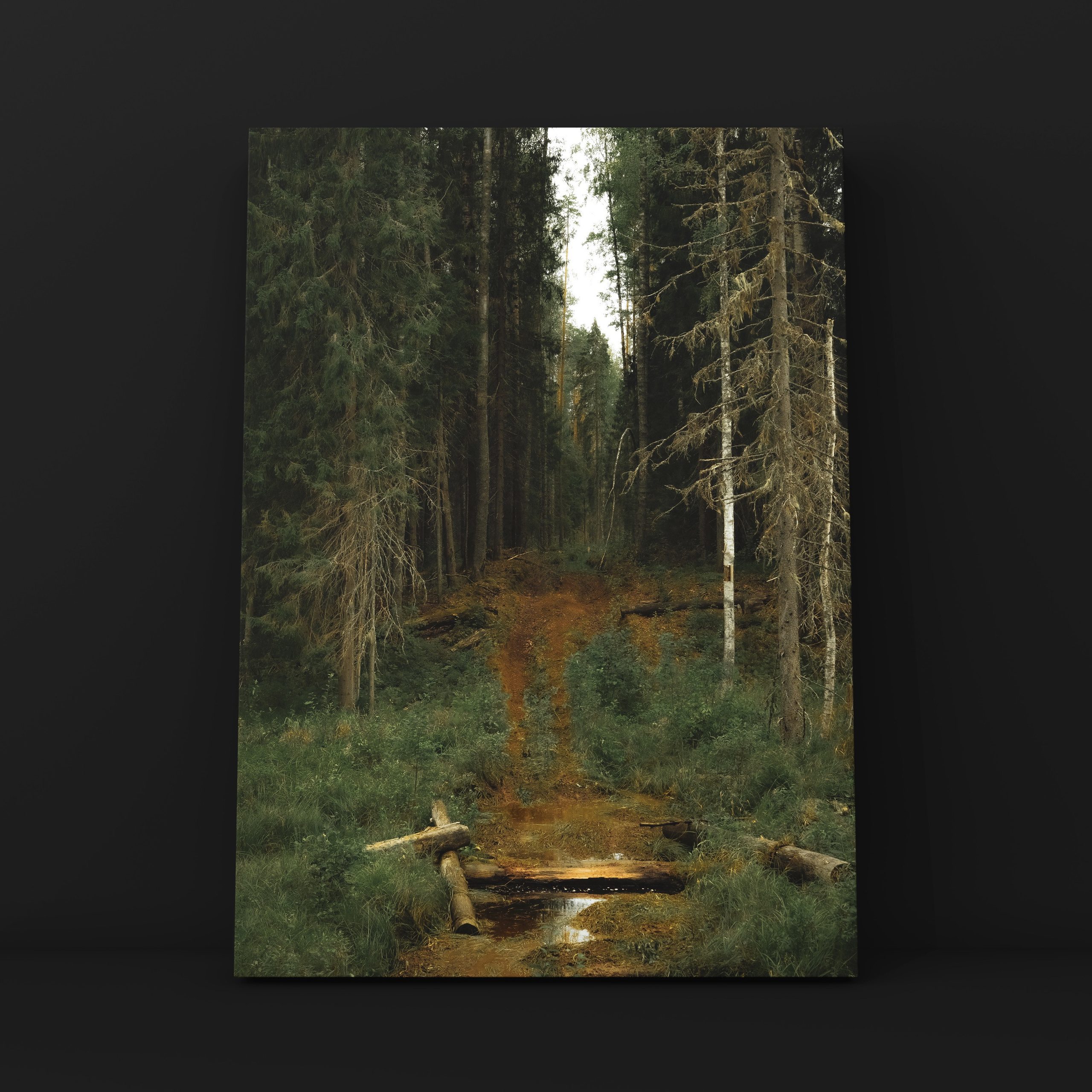 Шишкин в Карелии 2. Фотограф в Москве Сергей Коршунов