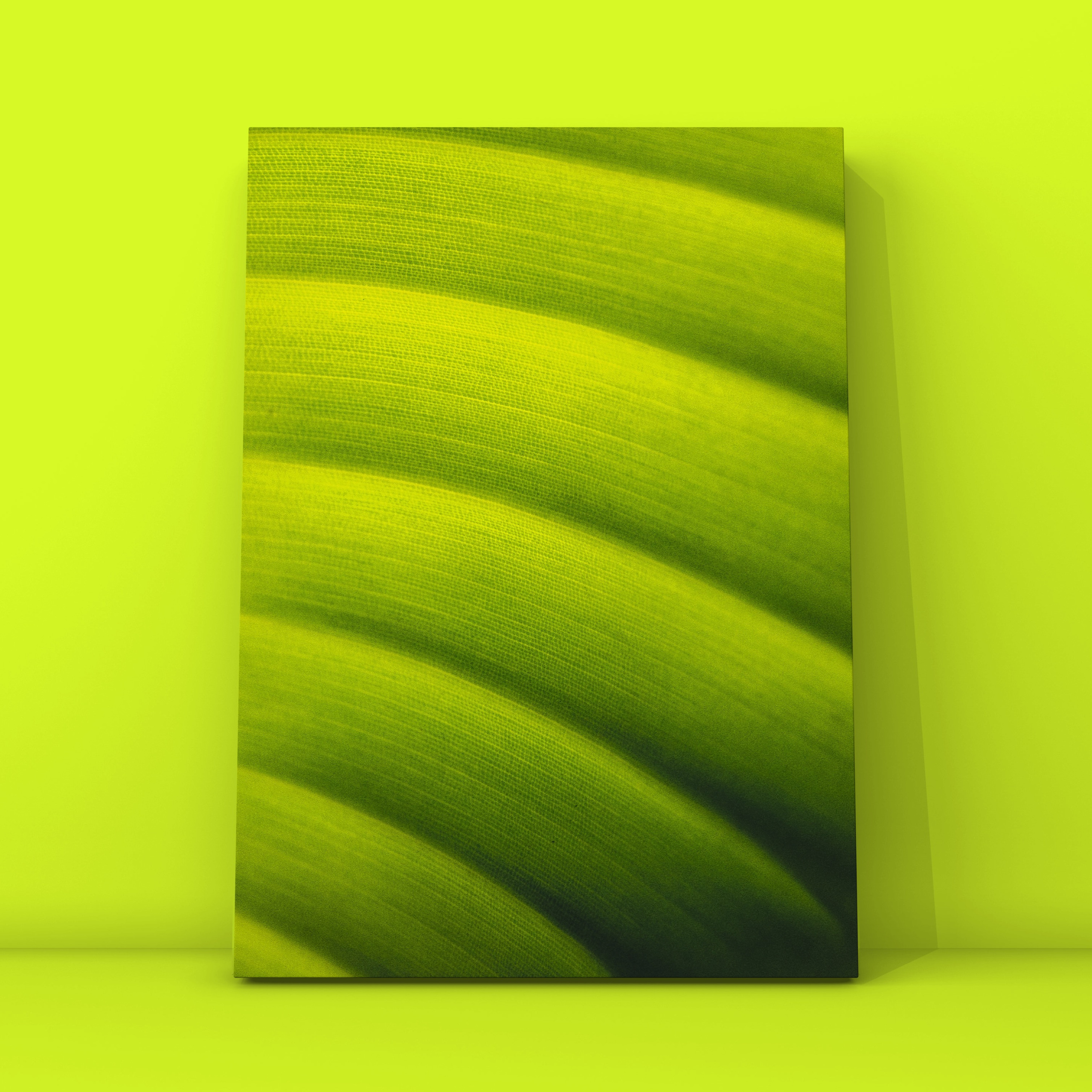 Лист 15. Фотограф в Москве Сергей Коршунов