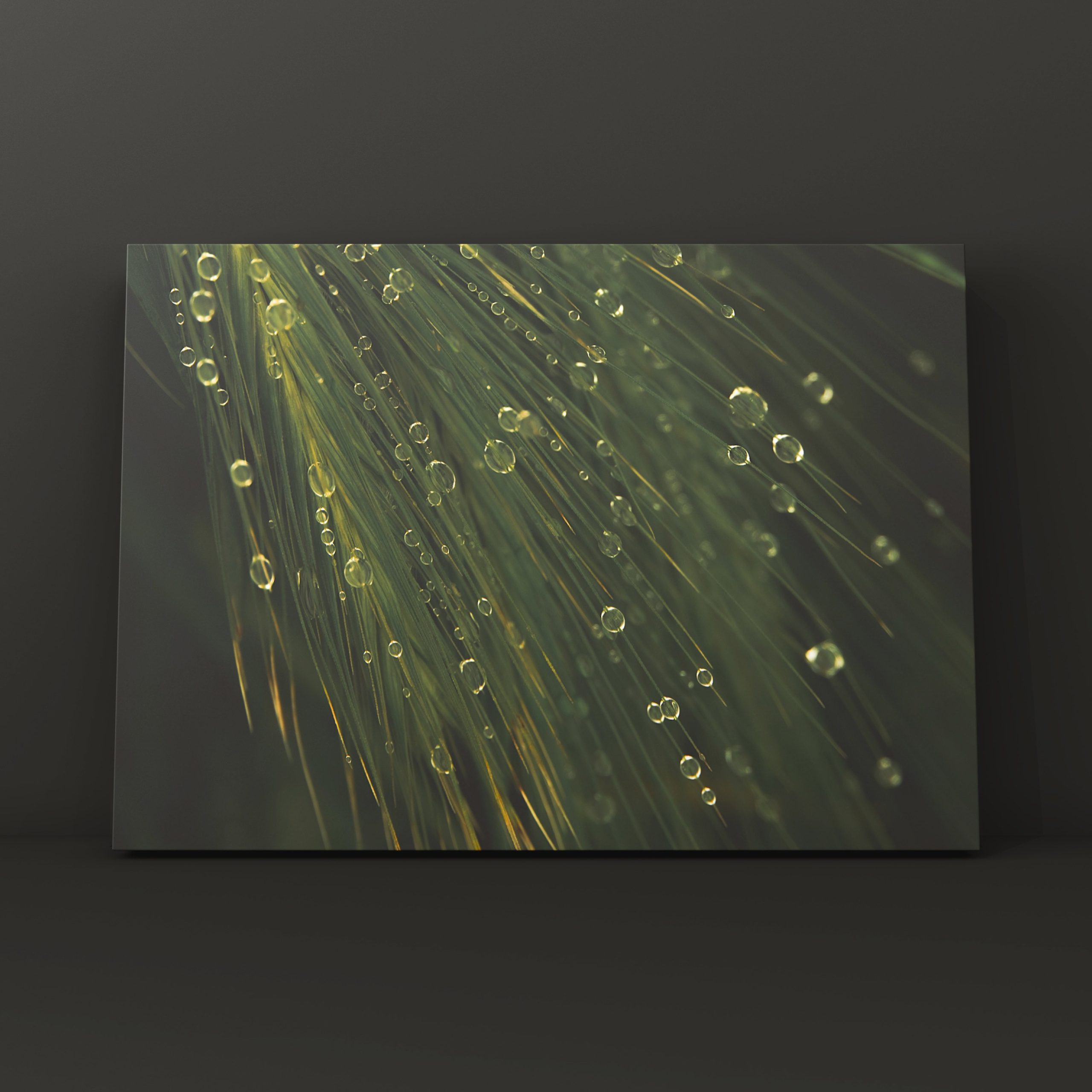 Абстракция. Фотограф в Москве Сергей Коршунов