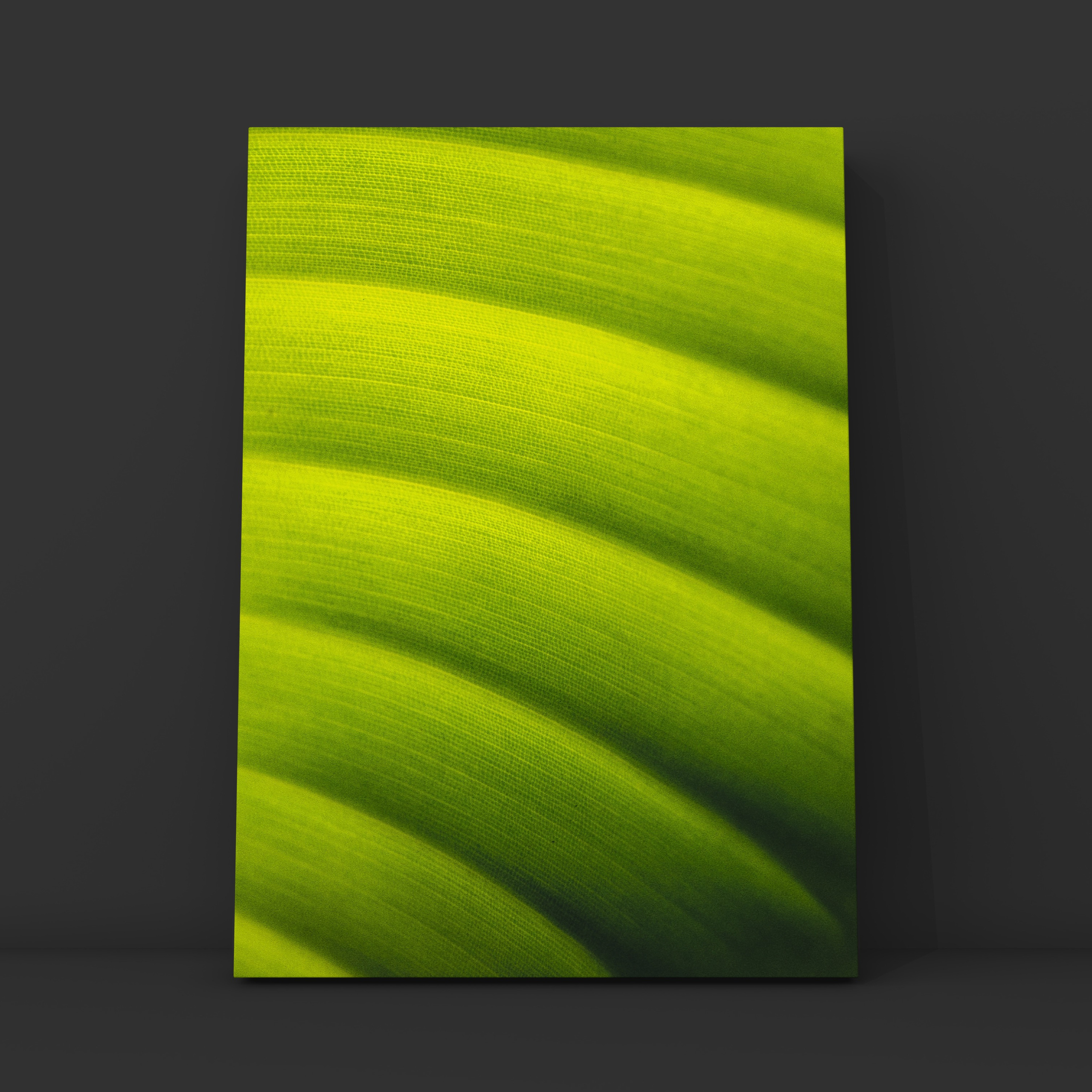 Природа и пейзаж. Фотограф в Москве Сергей Коршунов