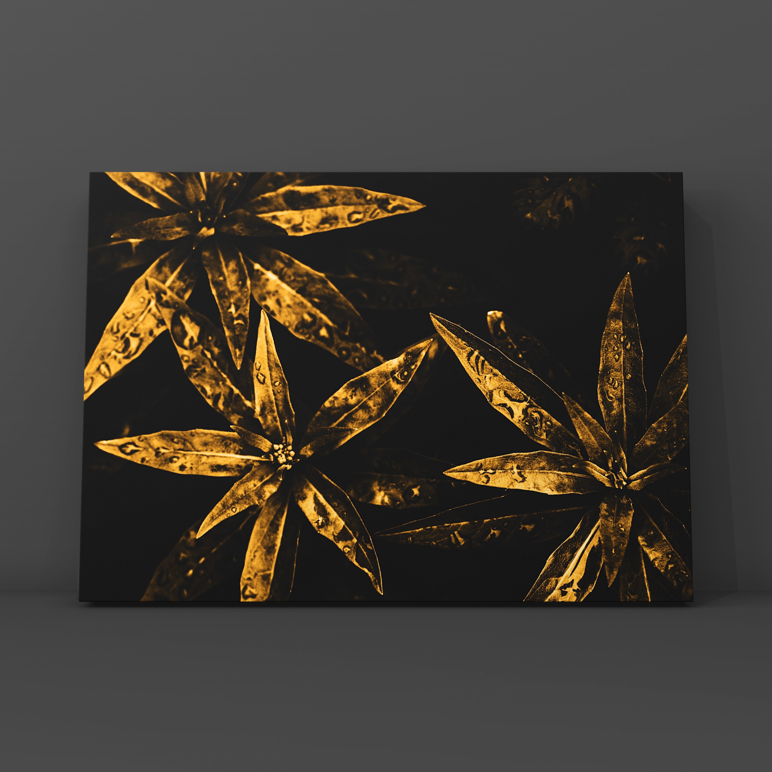 Абстракция. Фотограф в Москве Сергей Коршунов