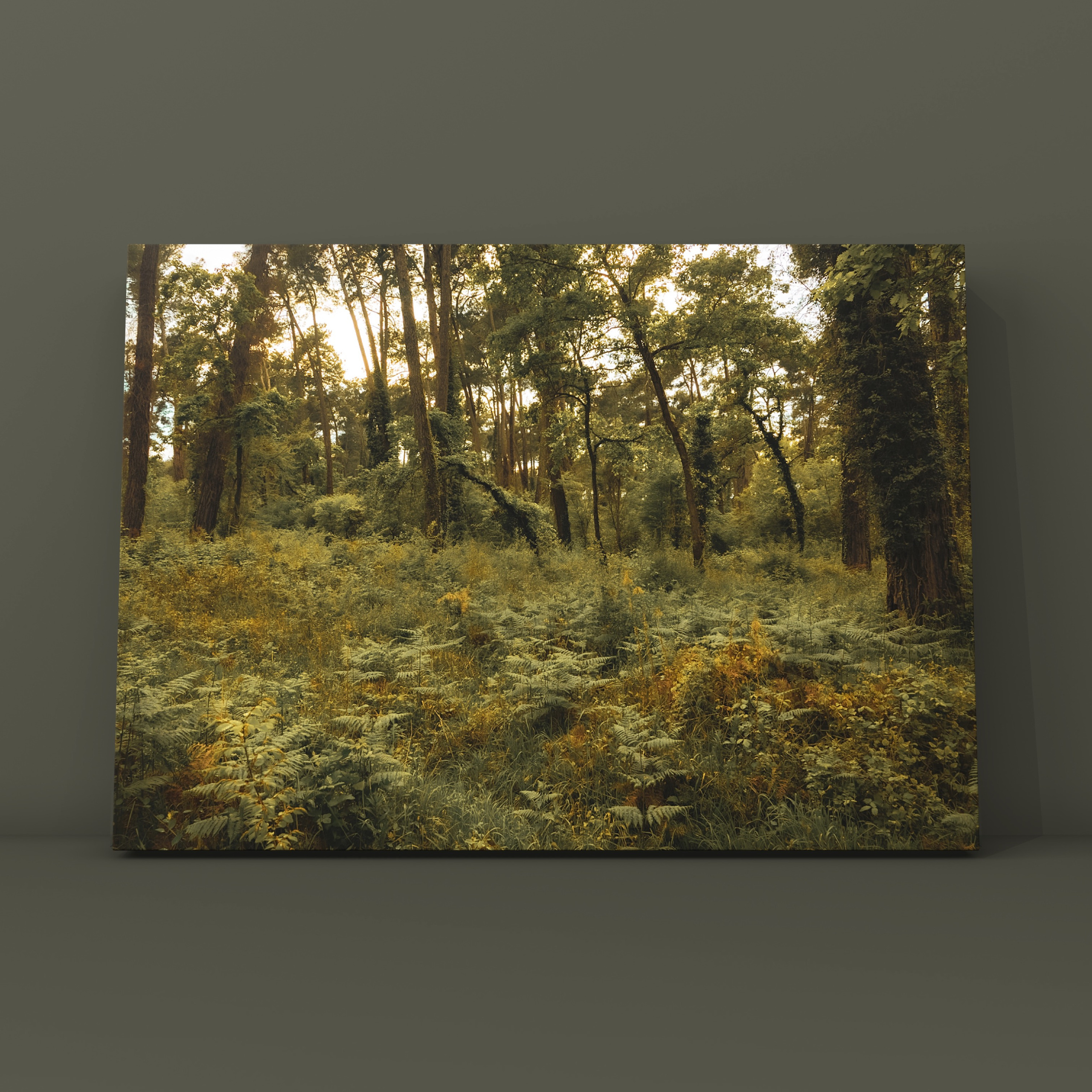 Лес Пицундский заповедник 3. Фотограф в Москве Сергей Коршунов