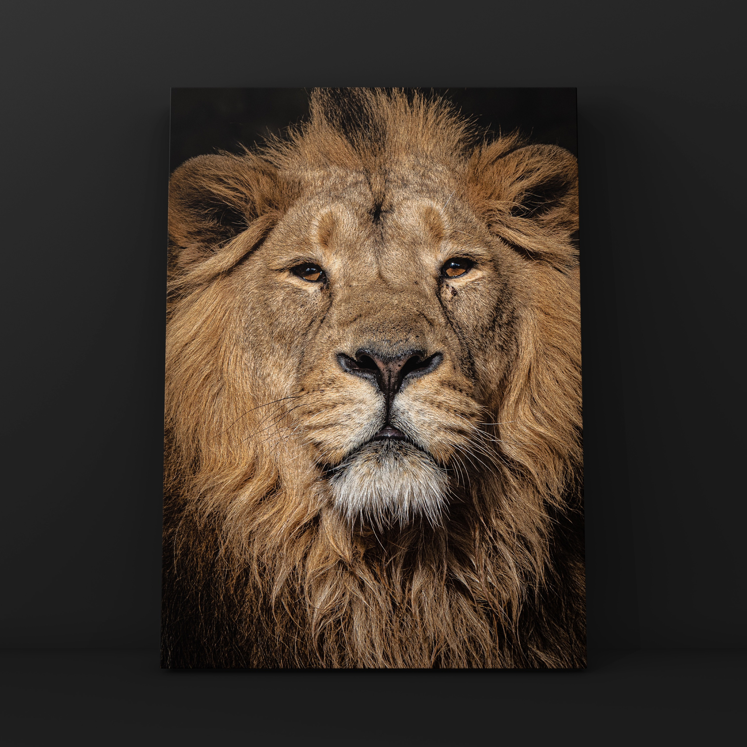 Природа и пейзаж. Фотограф в Москве Сергей Коршунов