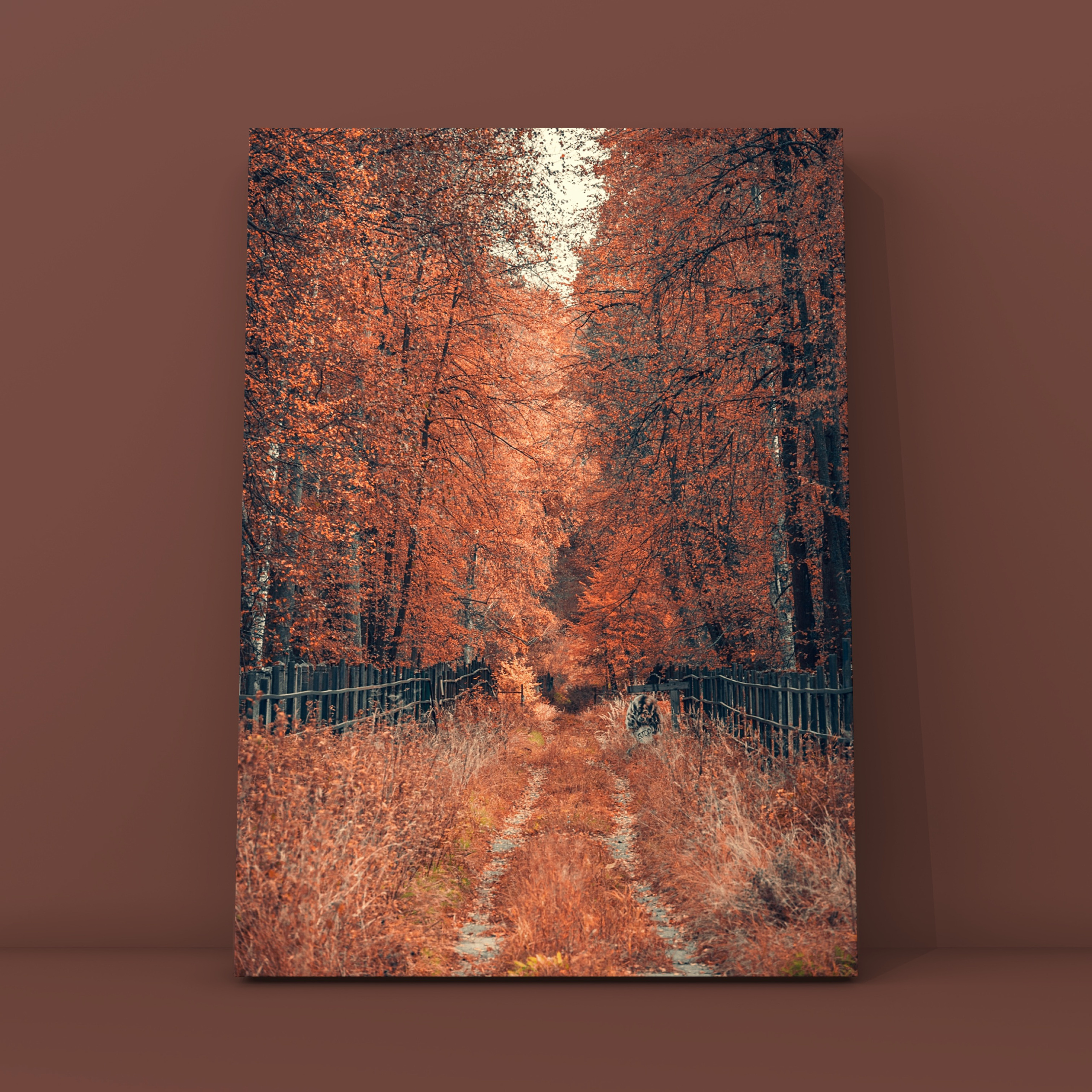 Природа и пейзаж. Фотограф в Москве Сергей Коршунов