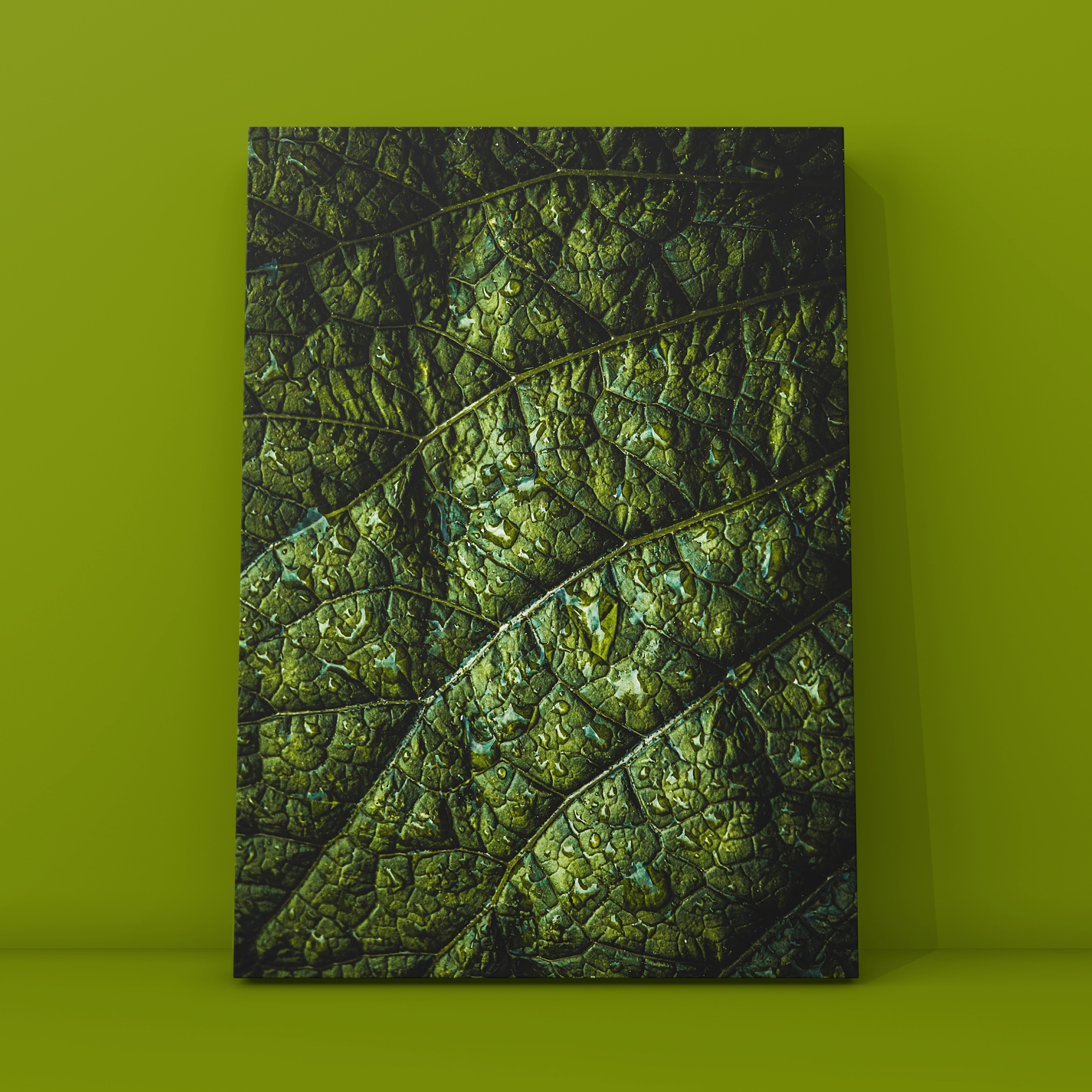 Лист 12. Фотограф в Москве Сергей Коршунов