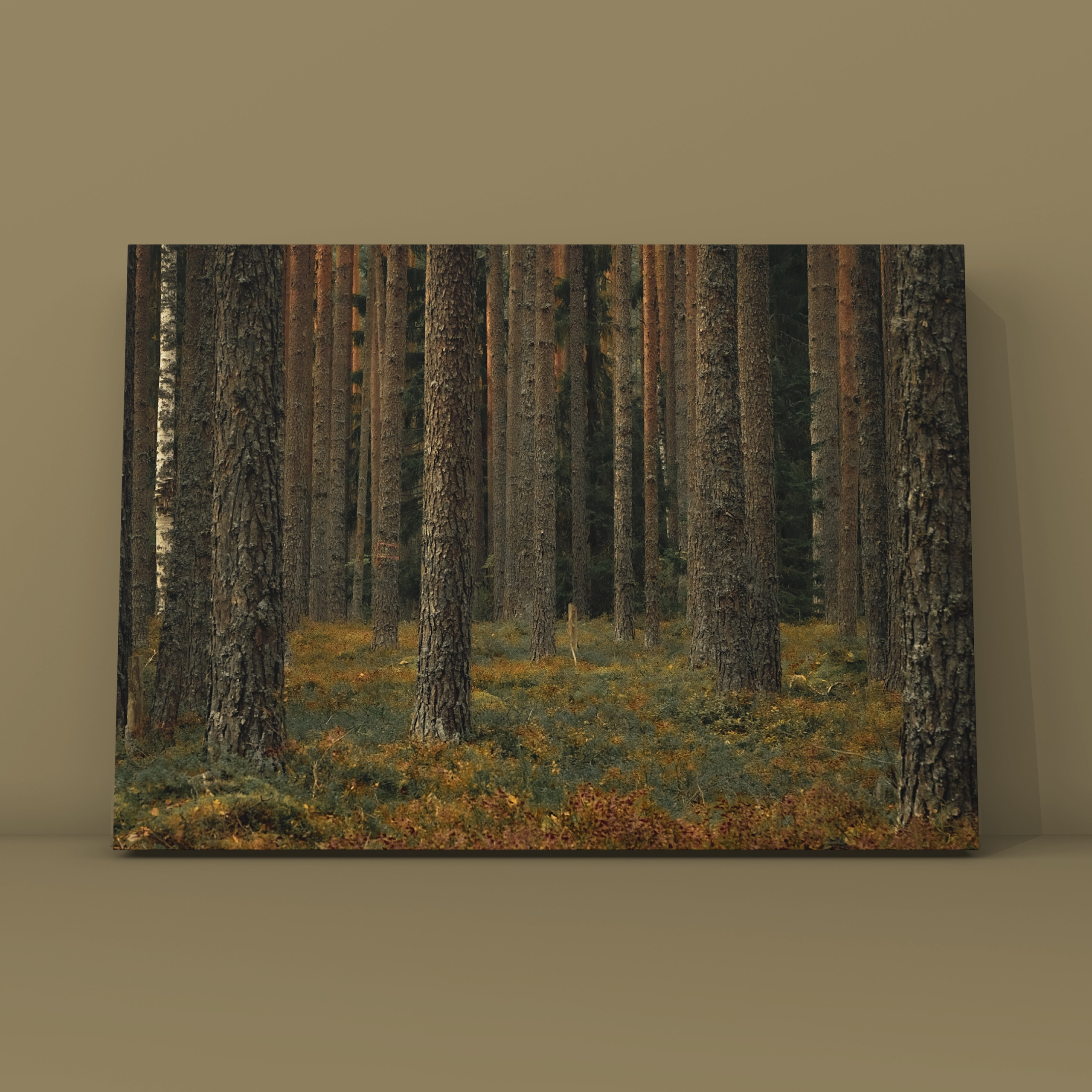 Природа и пейзаж. Фотограф в Москве Сергей Коршунов