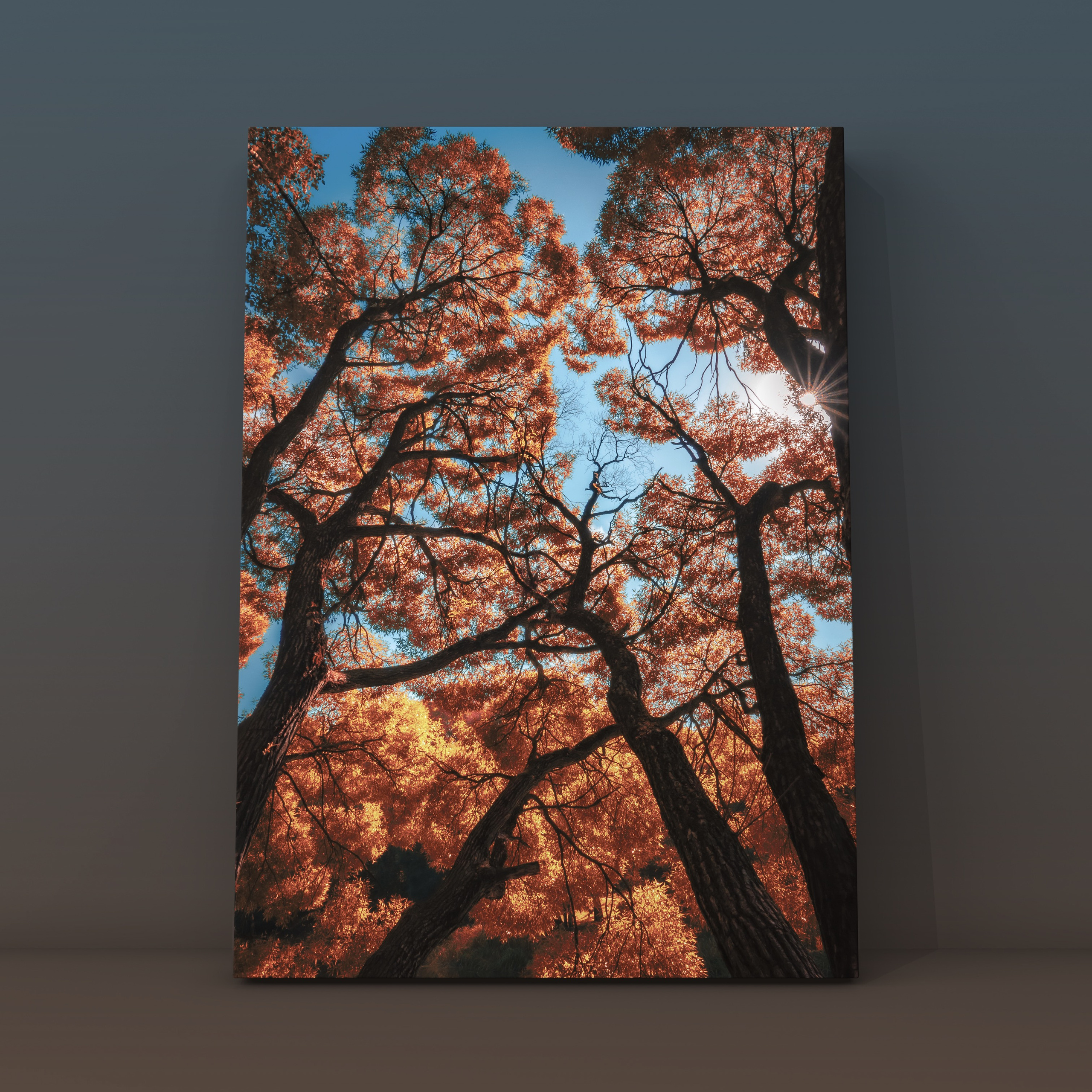 Ивы ВДНХ 2. Фотограф в Москве Сергей Коршунов