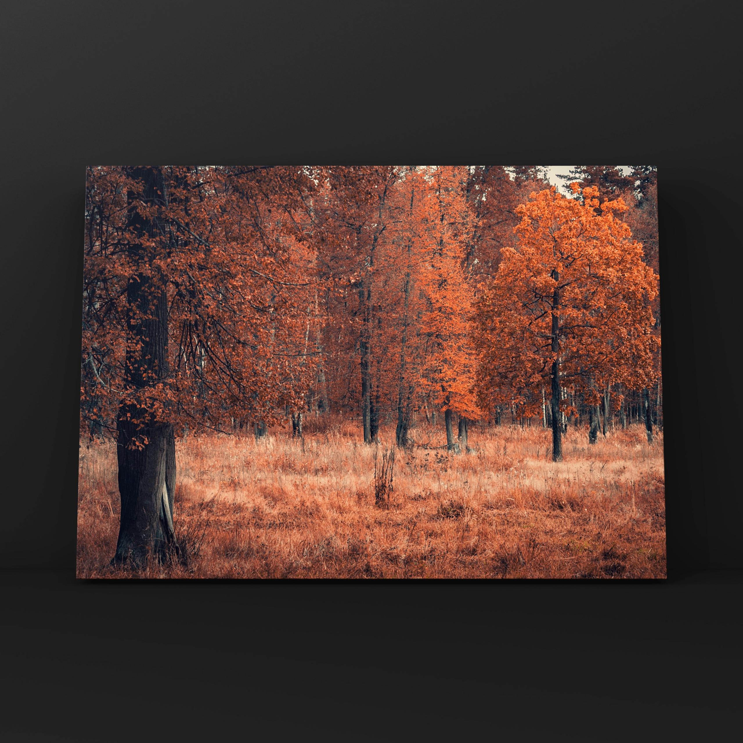 В гостях у зубров. Фотограф в Москве Сергей Коршунов