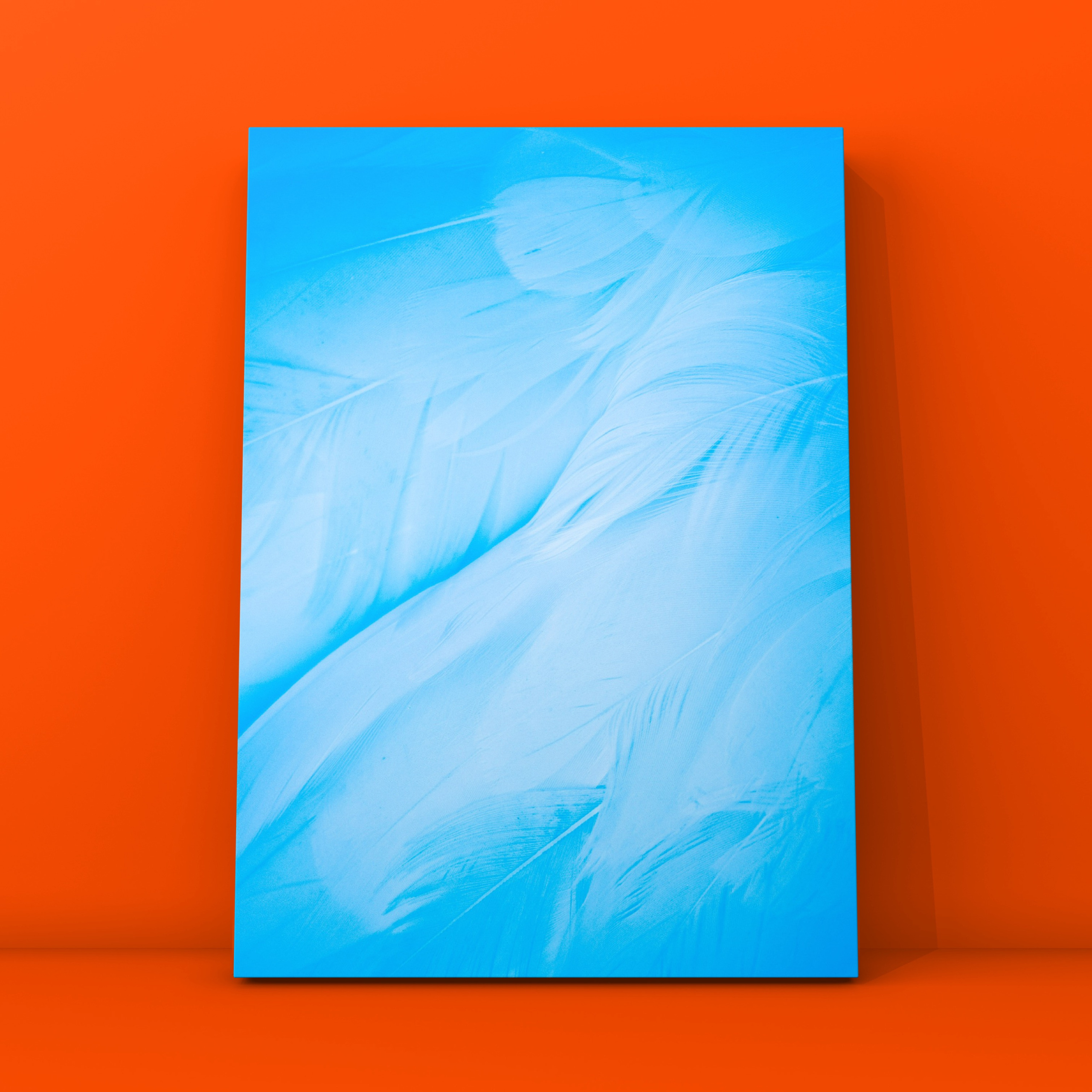 Перья 4. Фотограф в Москве Сергей Коршунов