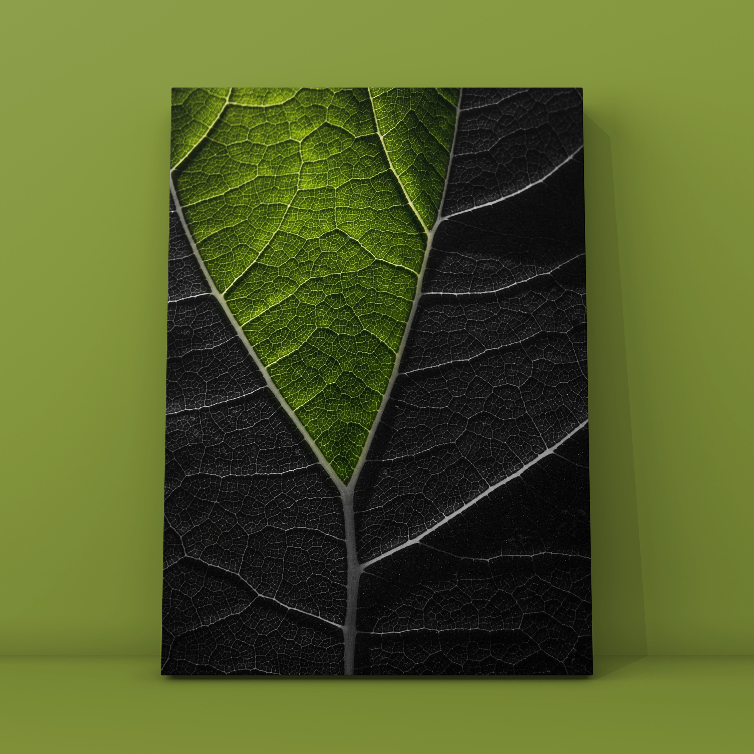 Абстракция. Фотограф в Москве Сергей Коршунов