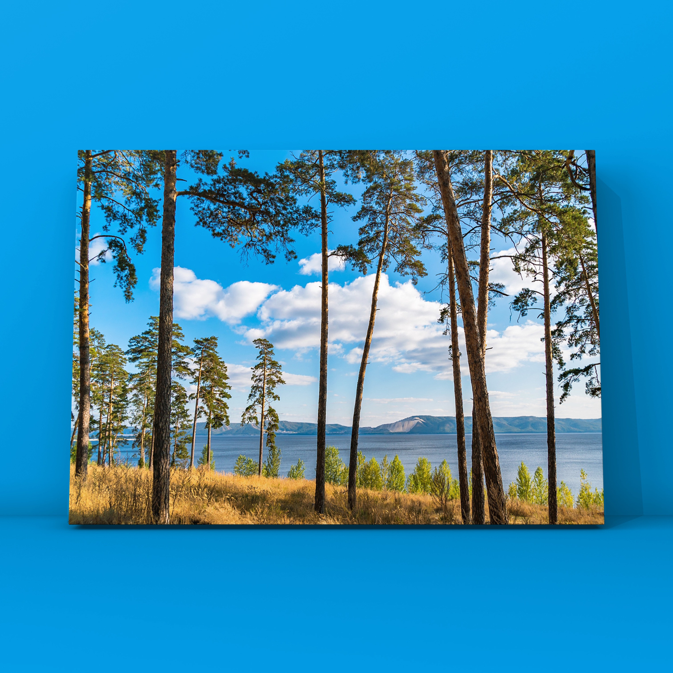 Сосны Тольятти. Фотограф в Москве Сергей Коршунов