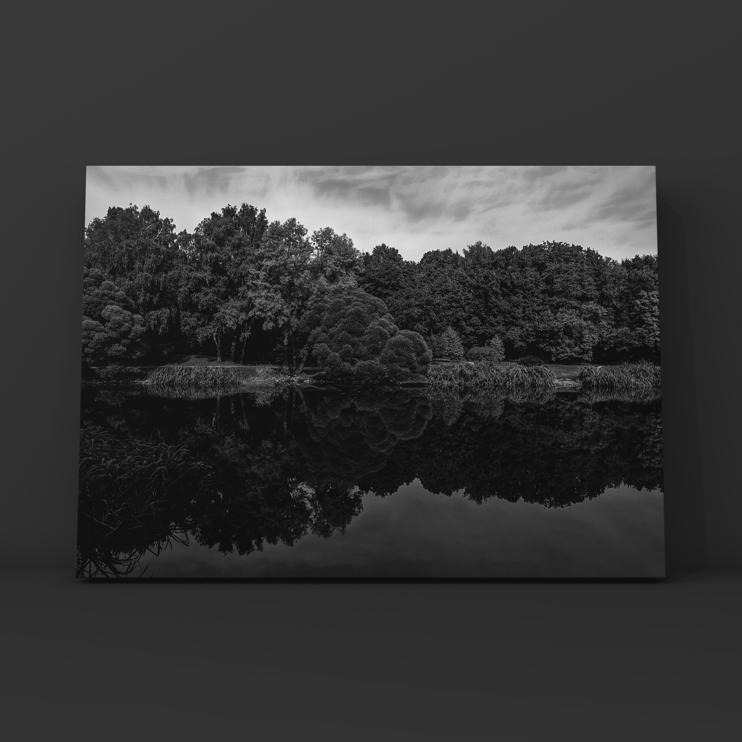 Природа и пейзаж. Фотограф в Москве Сергей Коршунов