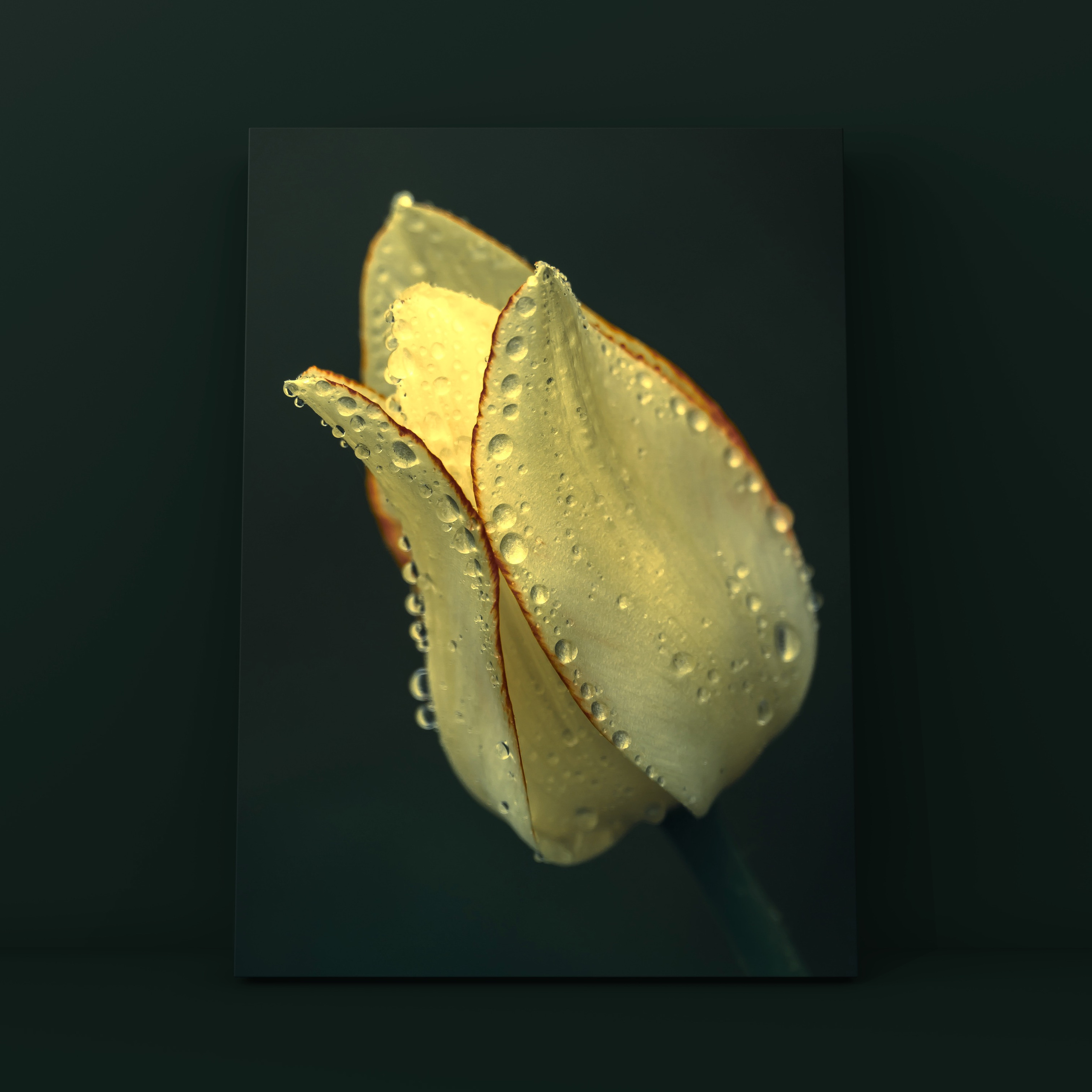 Природа и пейзаж. Фотограф в Москве Сергей Коршунов