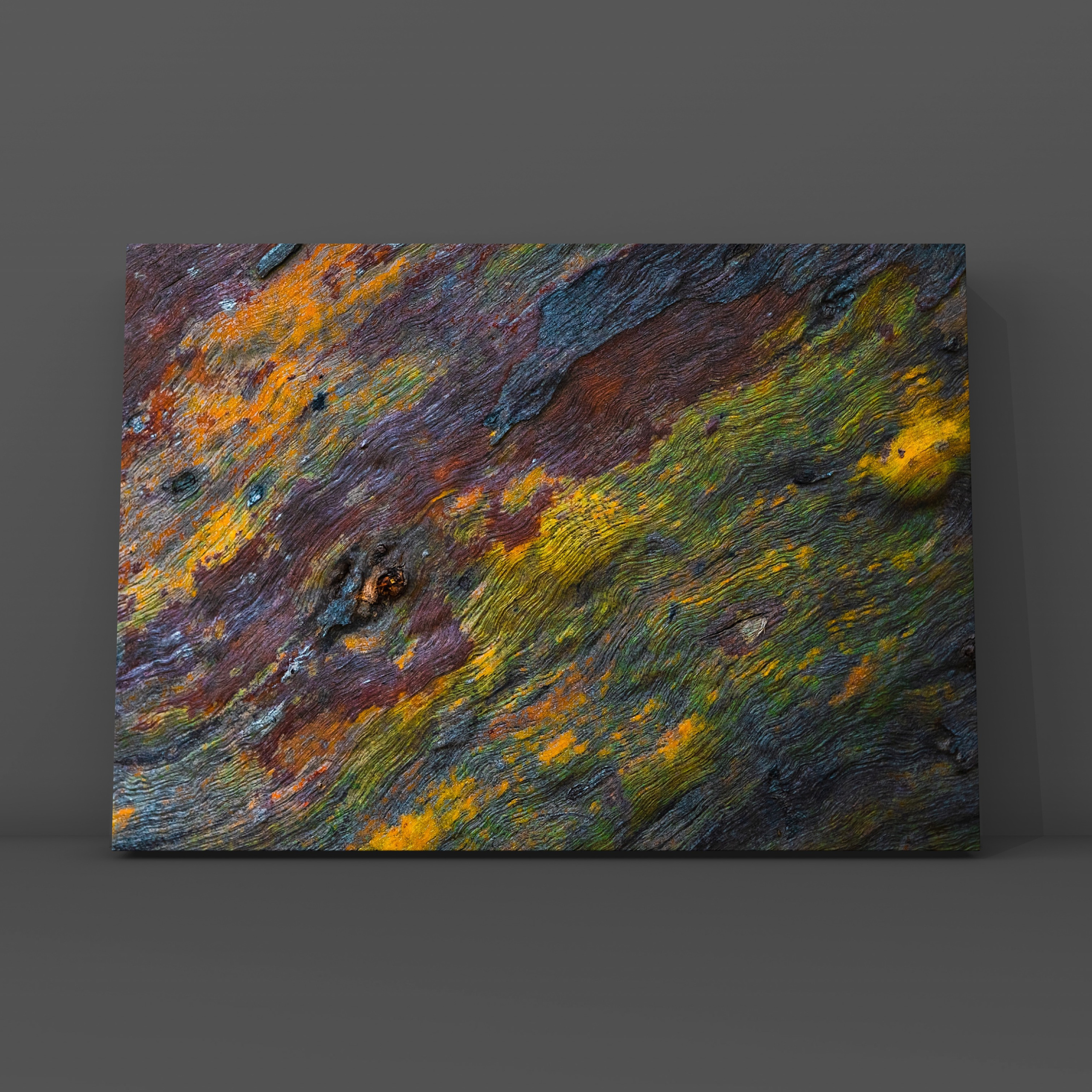 Ствол эвкалипта 1. Фотограф в Москве Сергей Коршунов