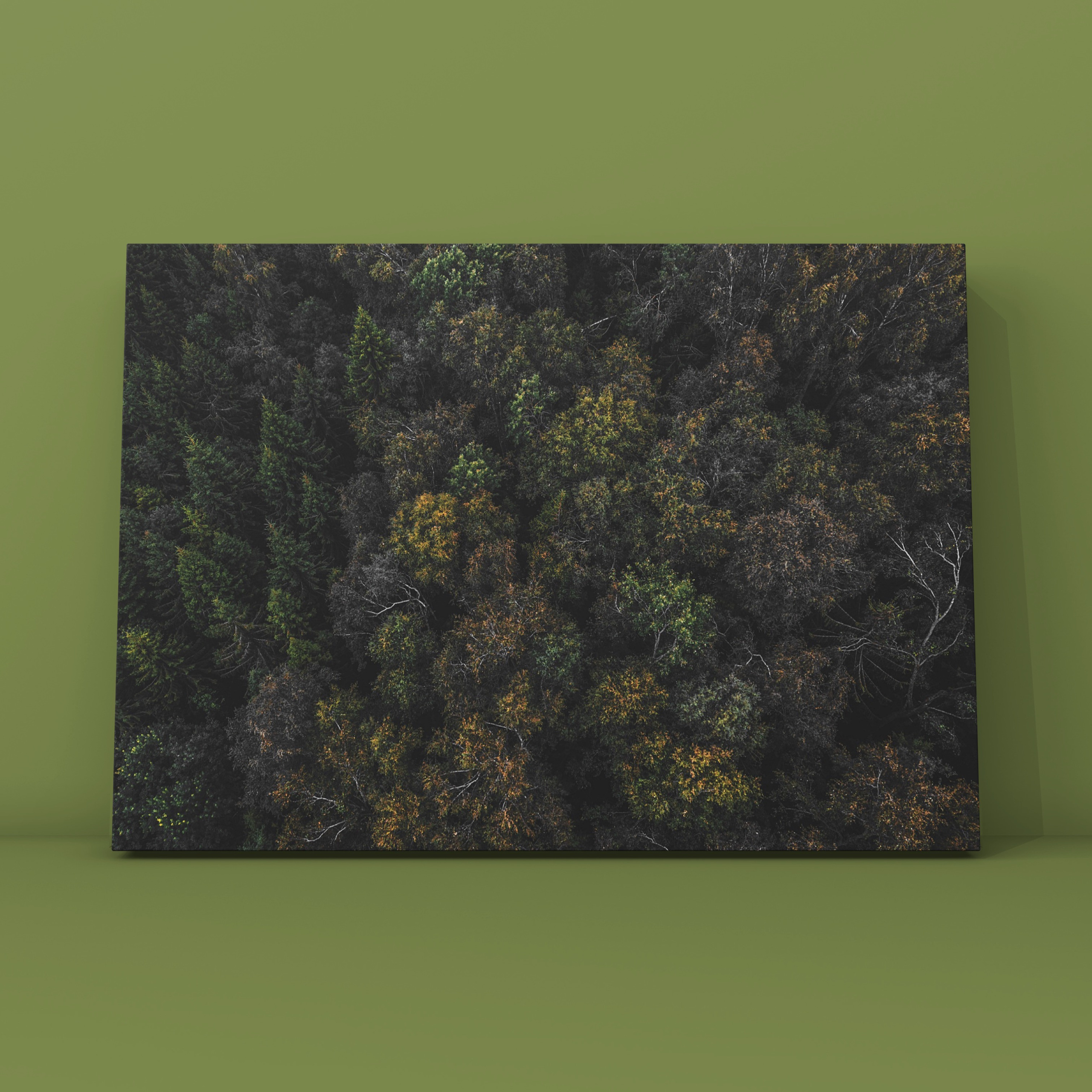 Природа и пейзаж. Фотограф в Москве Сергей Коршунов