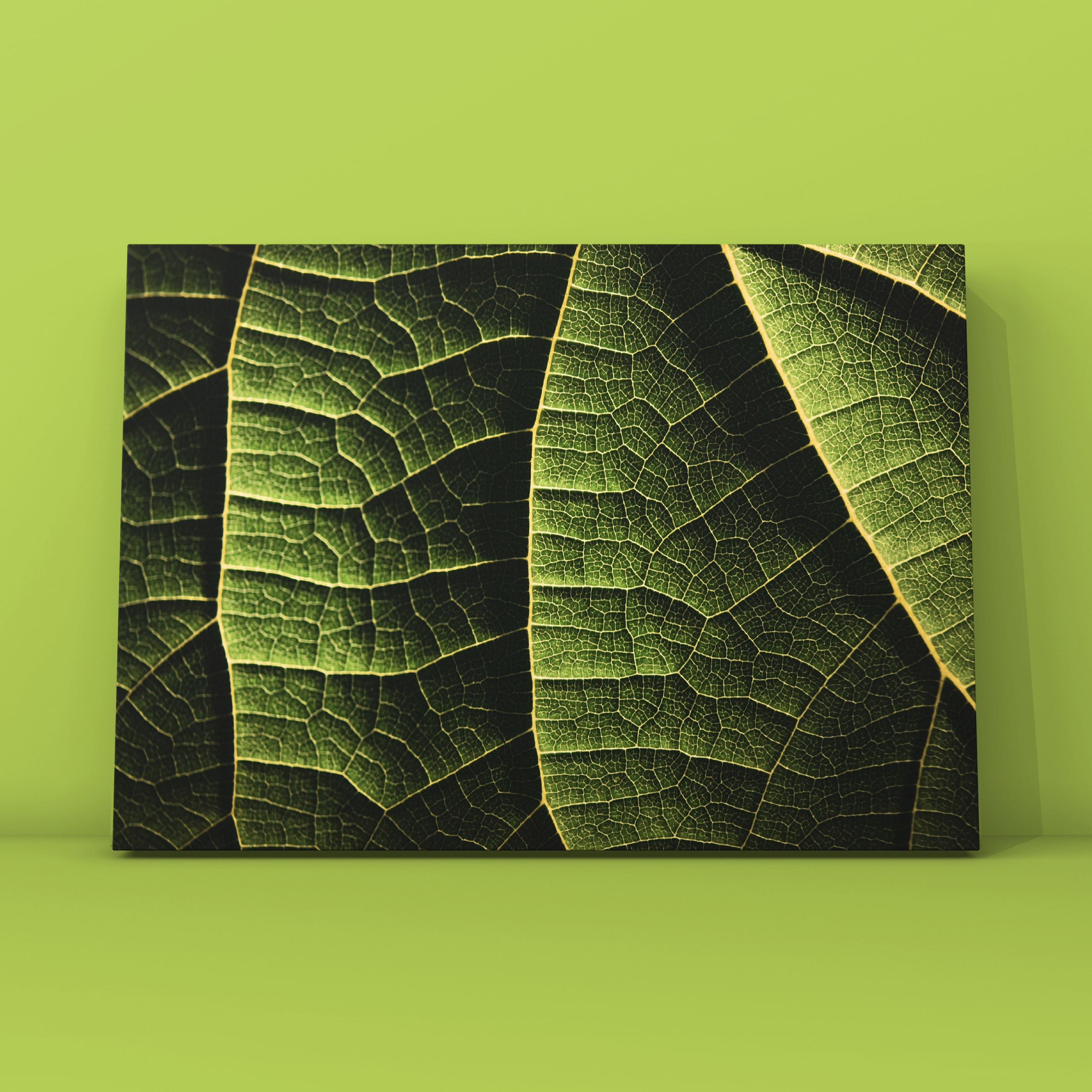 Лист 14. Фотограф в Москве Сергей Коршунов