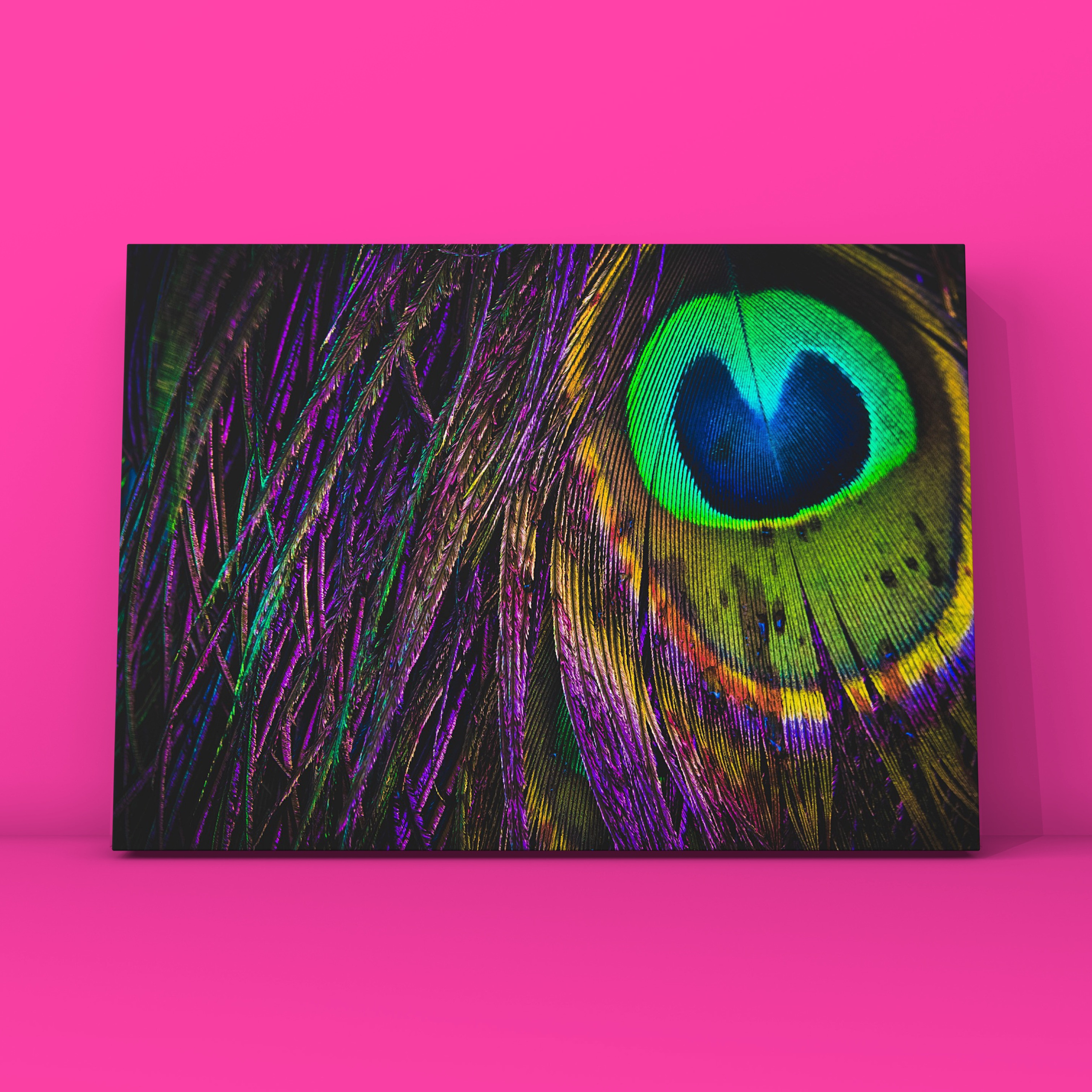 Перо павлина 4. Фотограф в Москве Сергей Коршунов