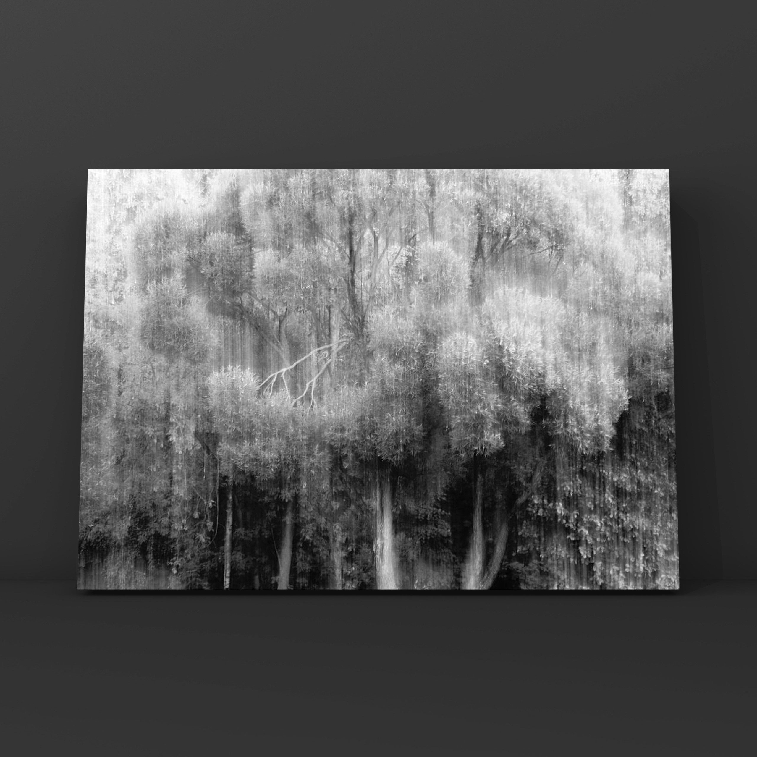 Природа и пейзаж. Фотограф в Москве Сергей Коршунов