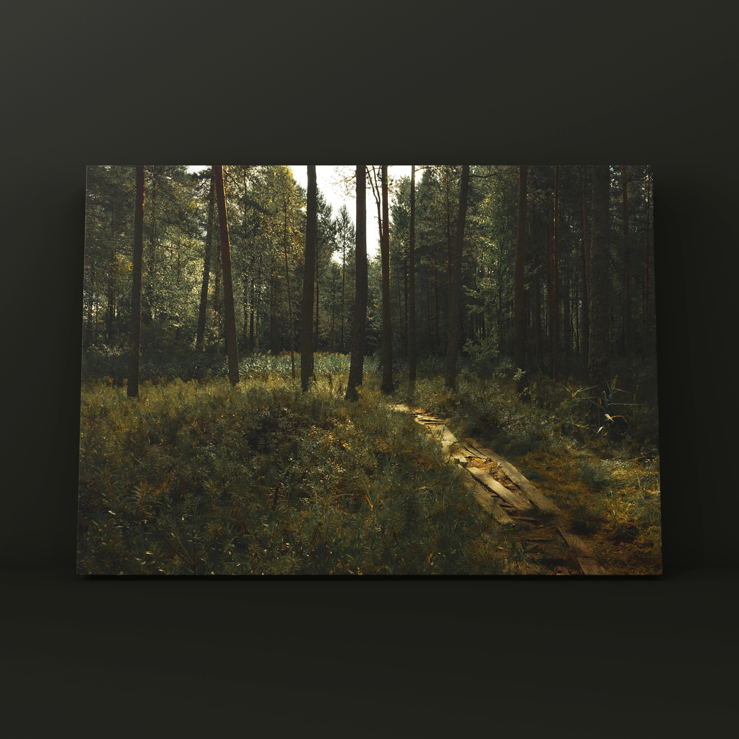 Тропинка к озеру Карелия. Фотограф в Москве Сергей Коршунов