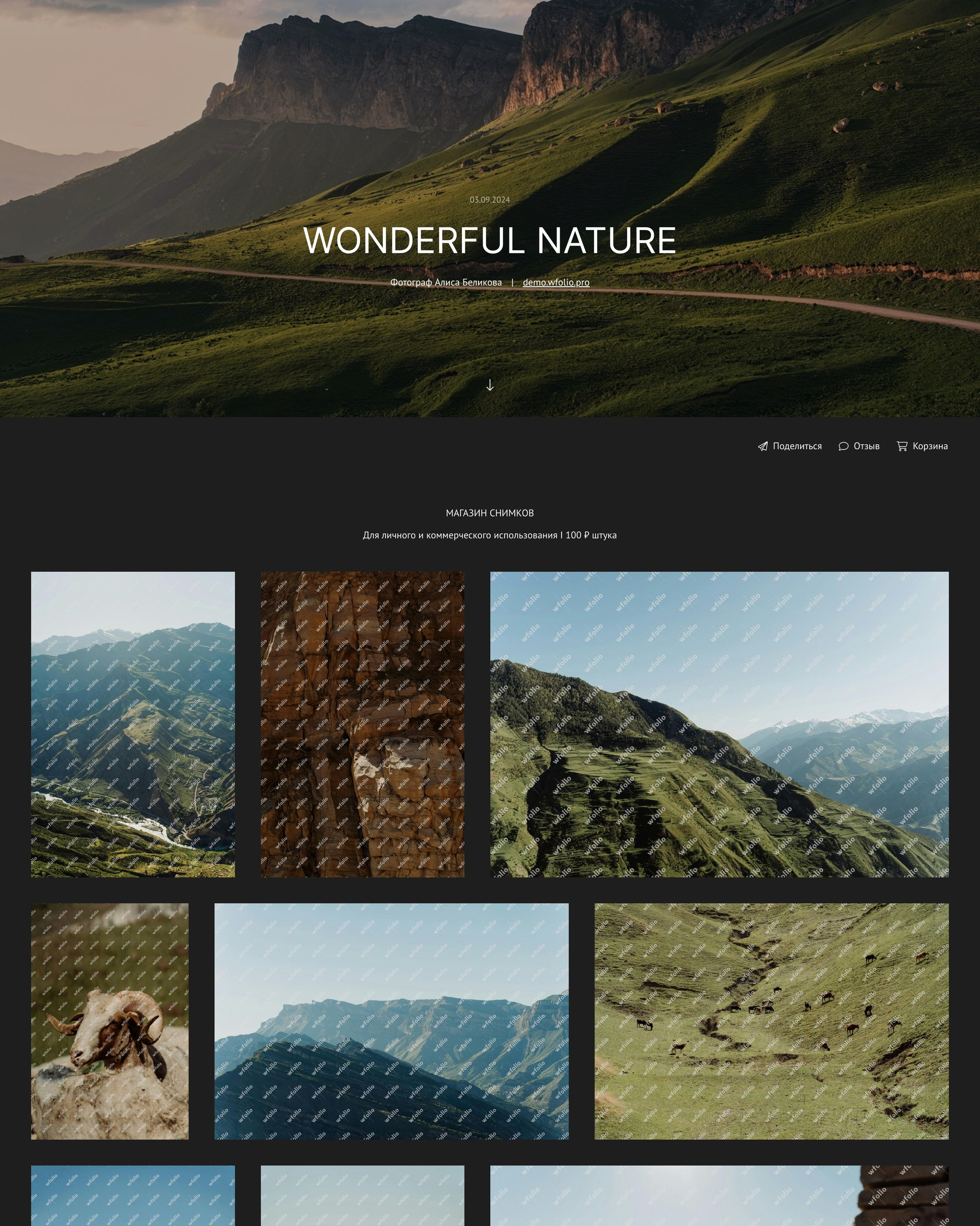 Примеры галерей со снимками природы на диске Wfolio