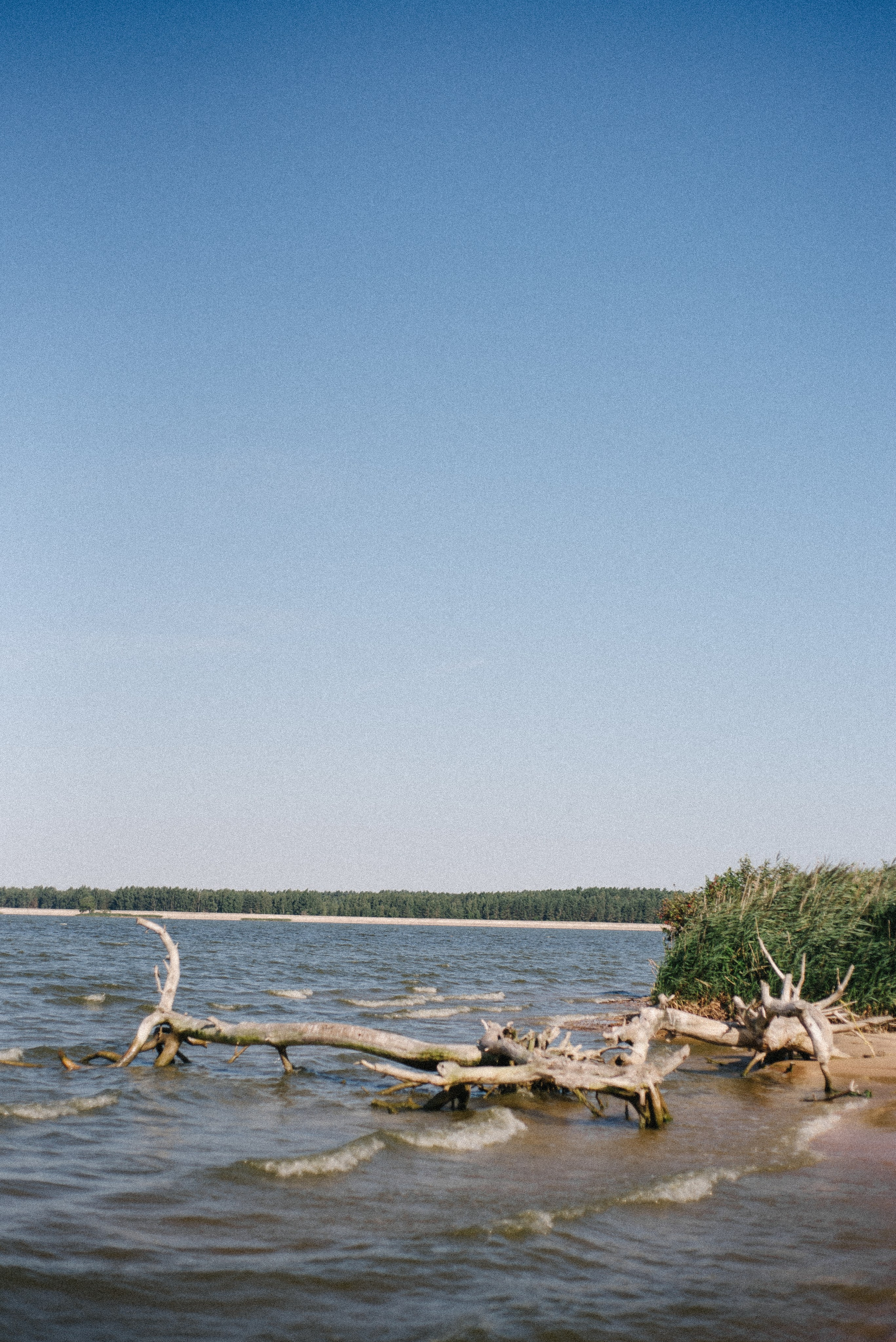 Байдарки Вилейка. Anita_photo