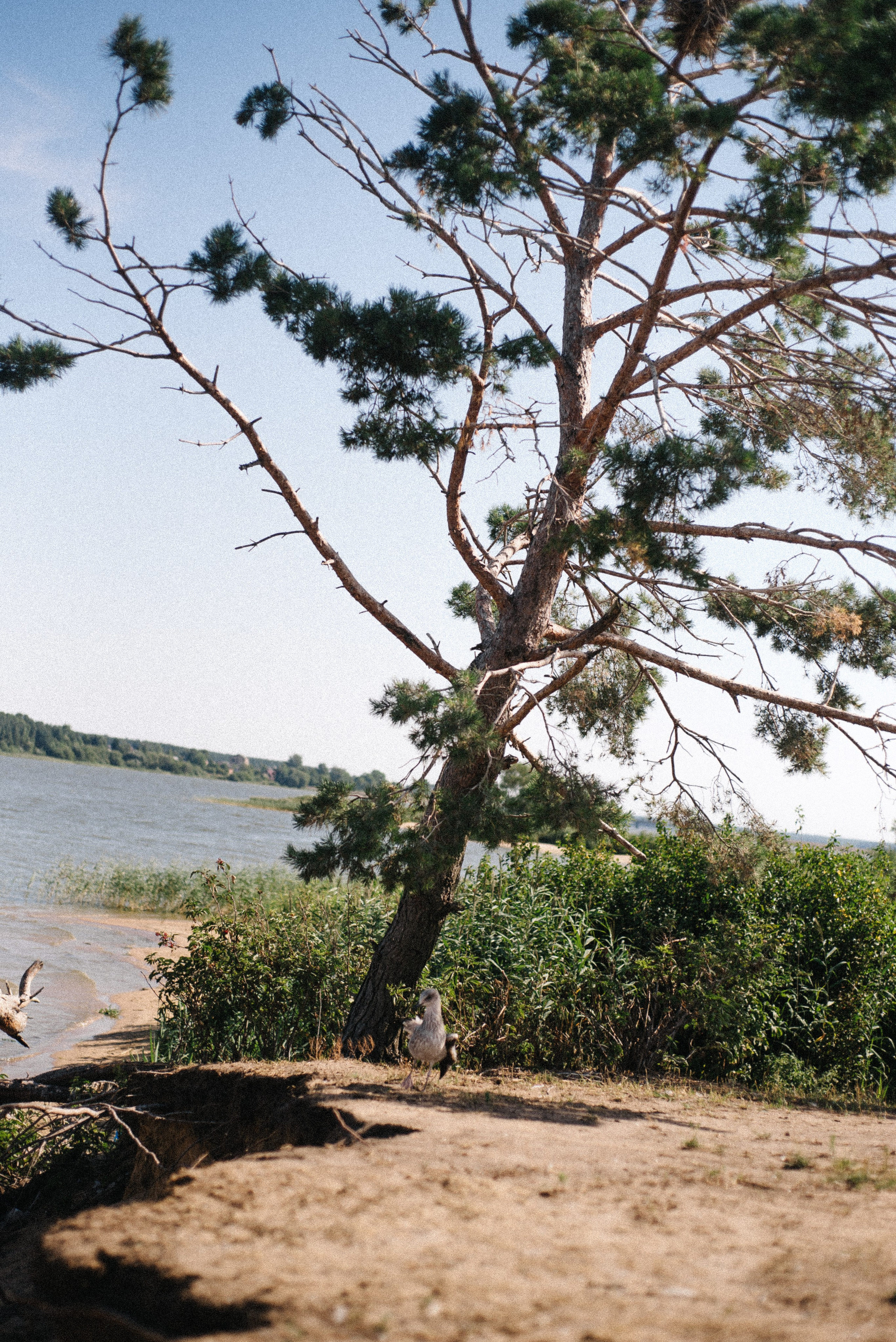 Байдарки Вилейка. Anita_photo