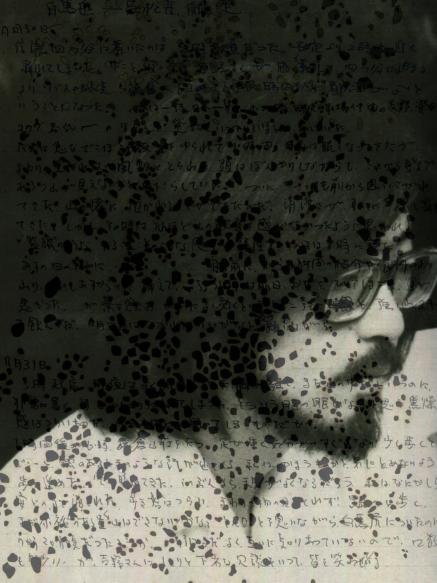 INTERVIEW WITH THE AUTHORS: MOE SUZUKI. Самоорганизация Низина