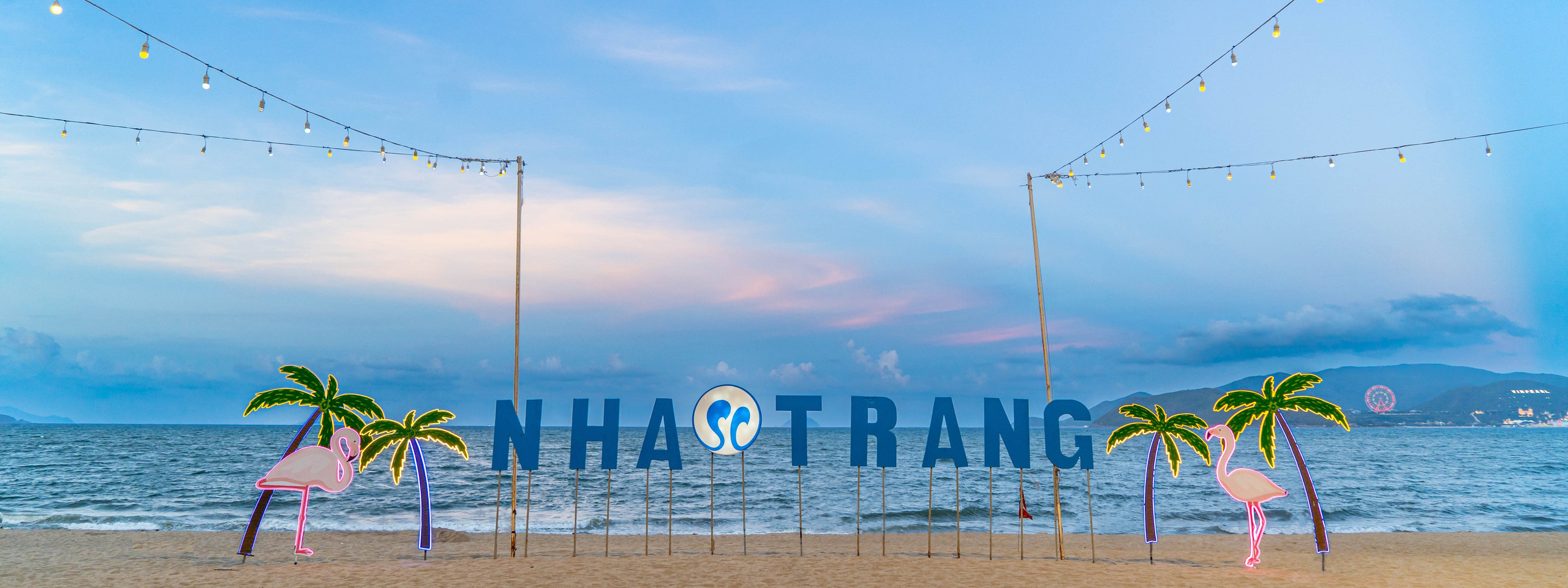 Твой фотограф — Полосатый кот