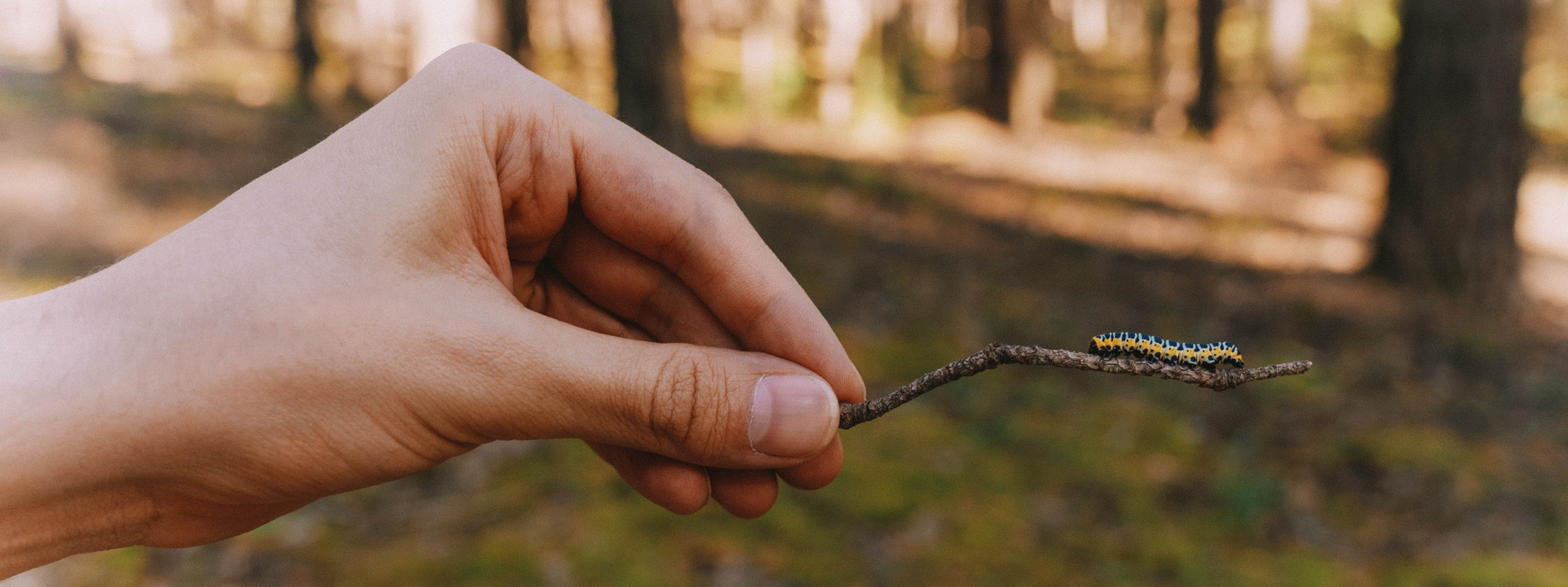Нижний Новгород. Фотограф из Москвы — DASHA NOVA | Авторская фотография в разных жанрах